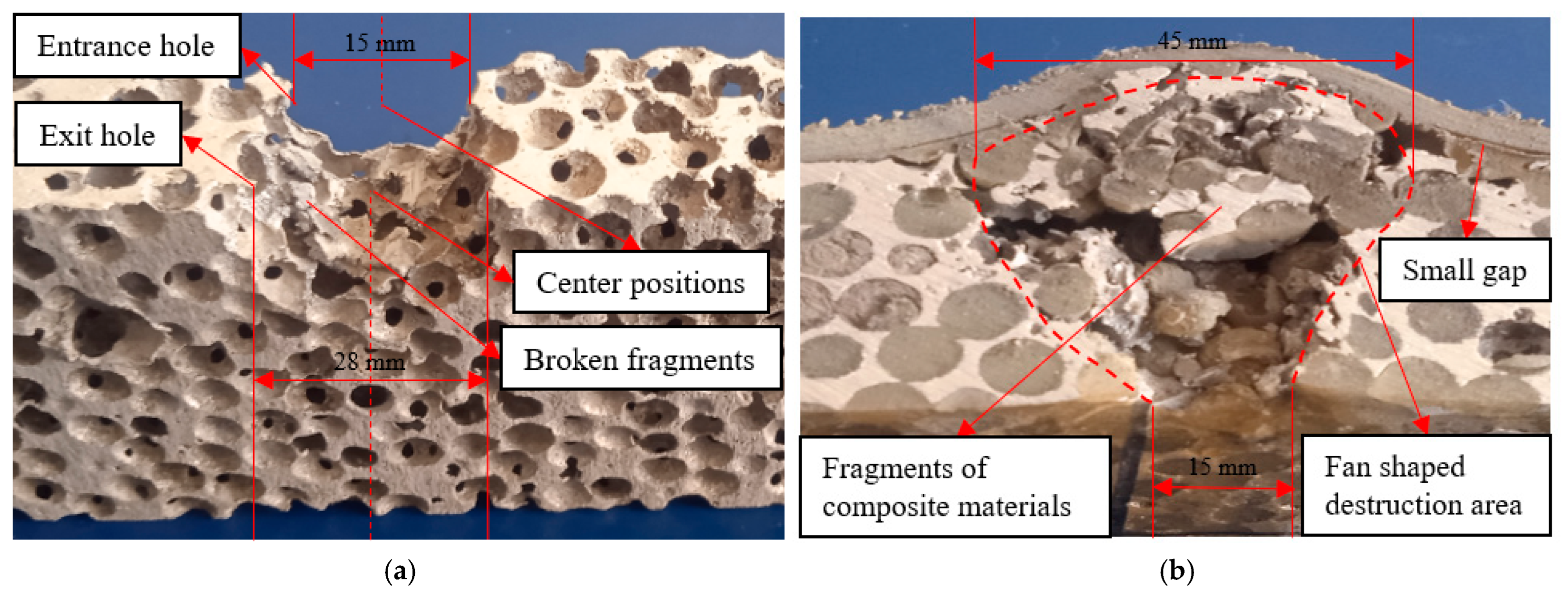 Polymers 16 03286 g005
