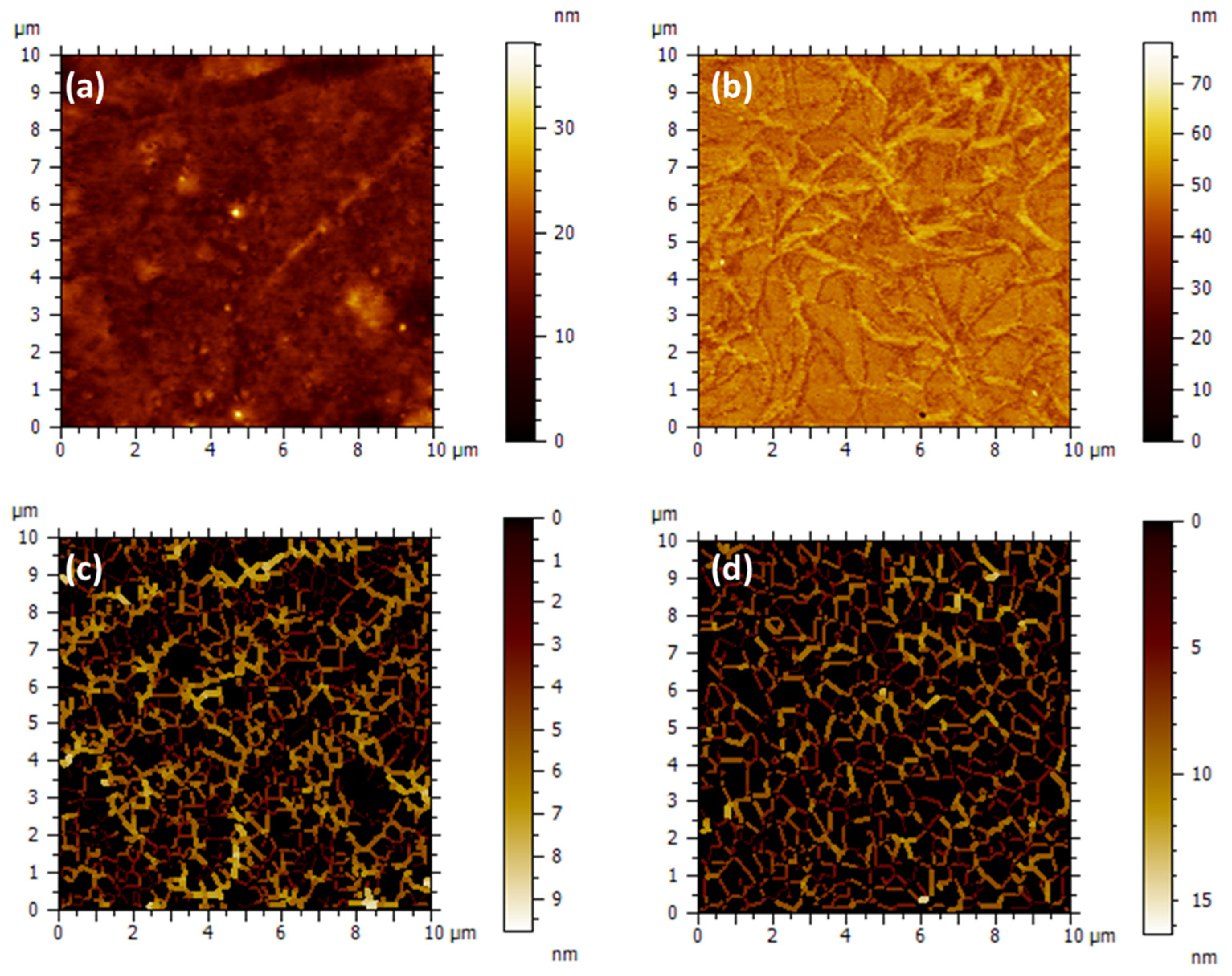 Polymers 16 03288 g009