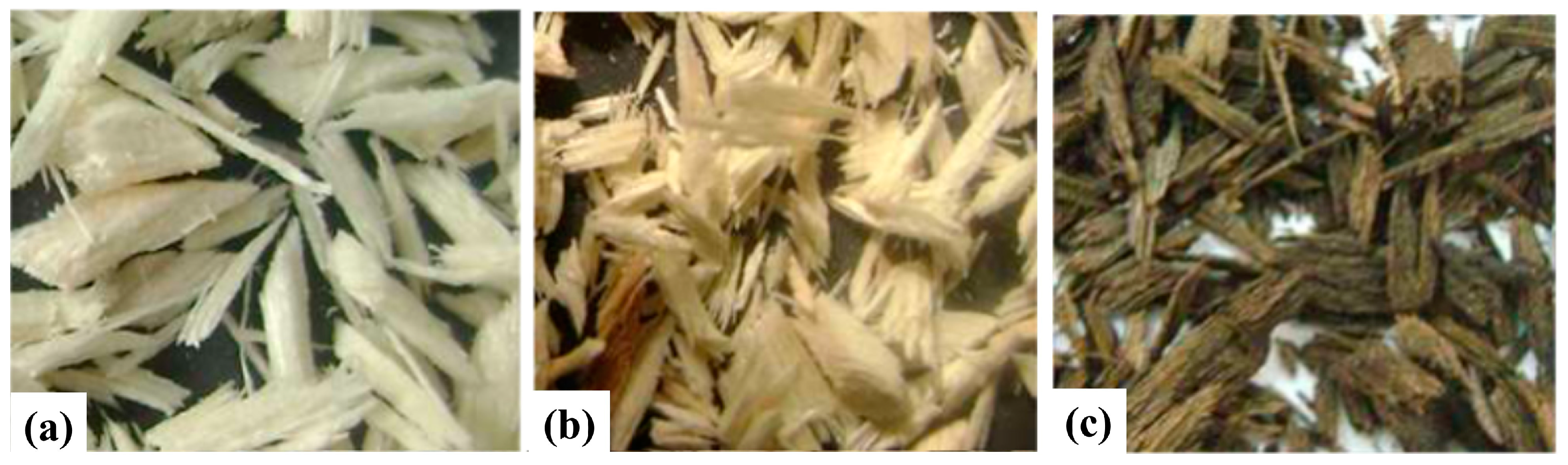 Polymers 16 03289 g001