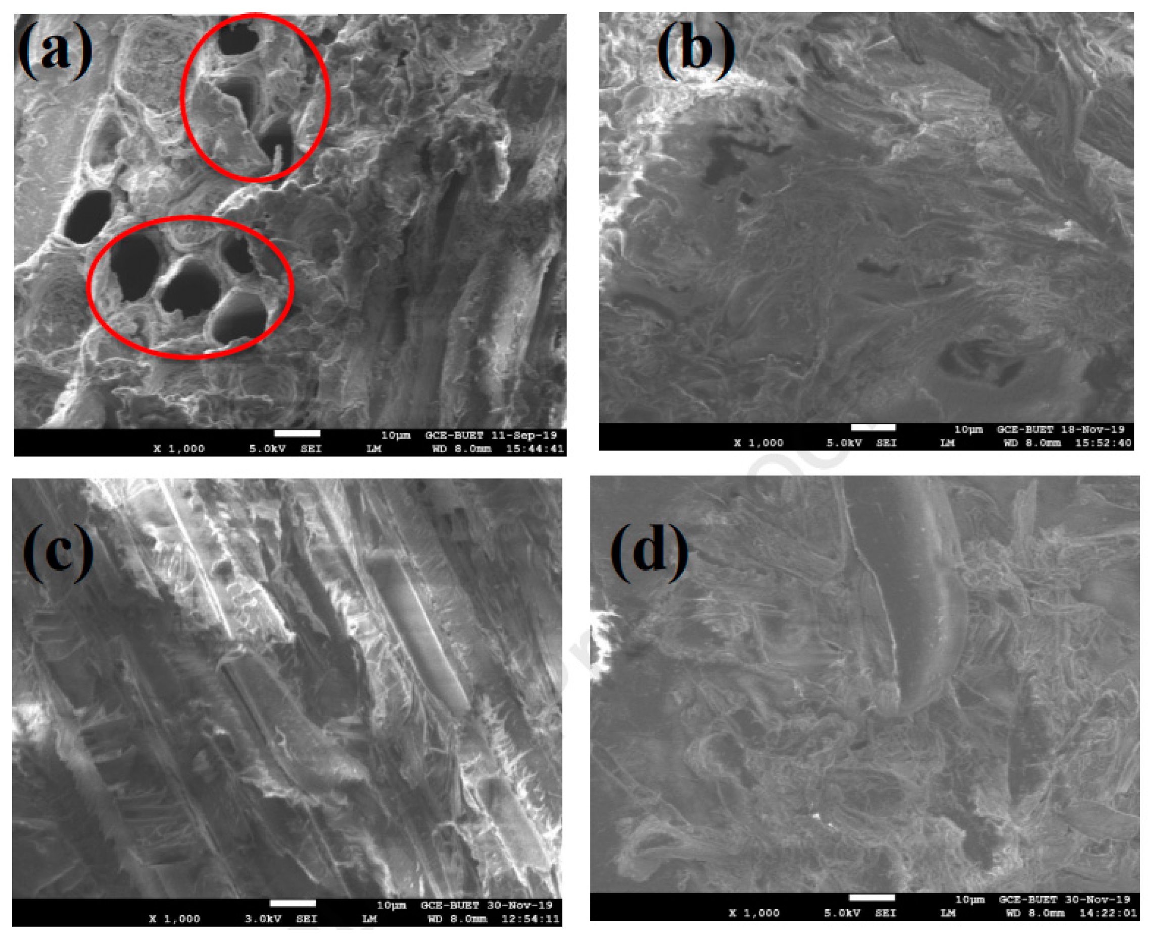 Polymers 16 03289 g008