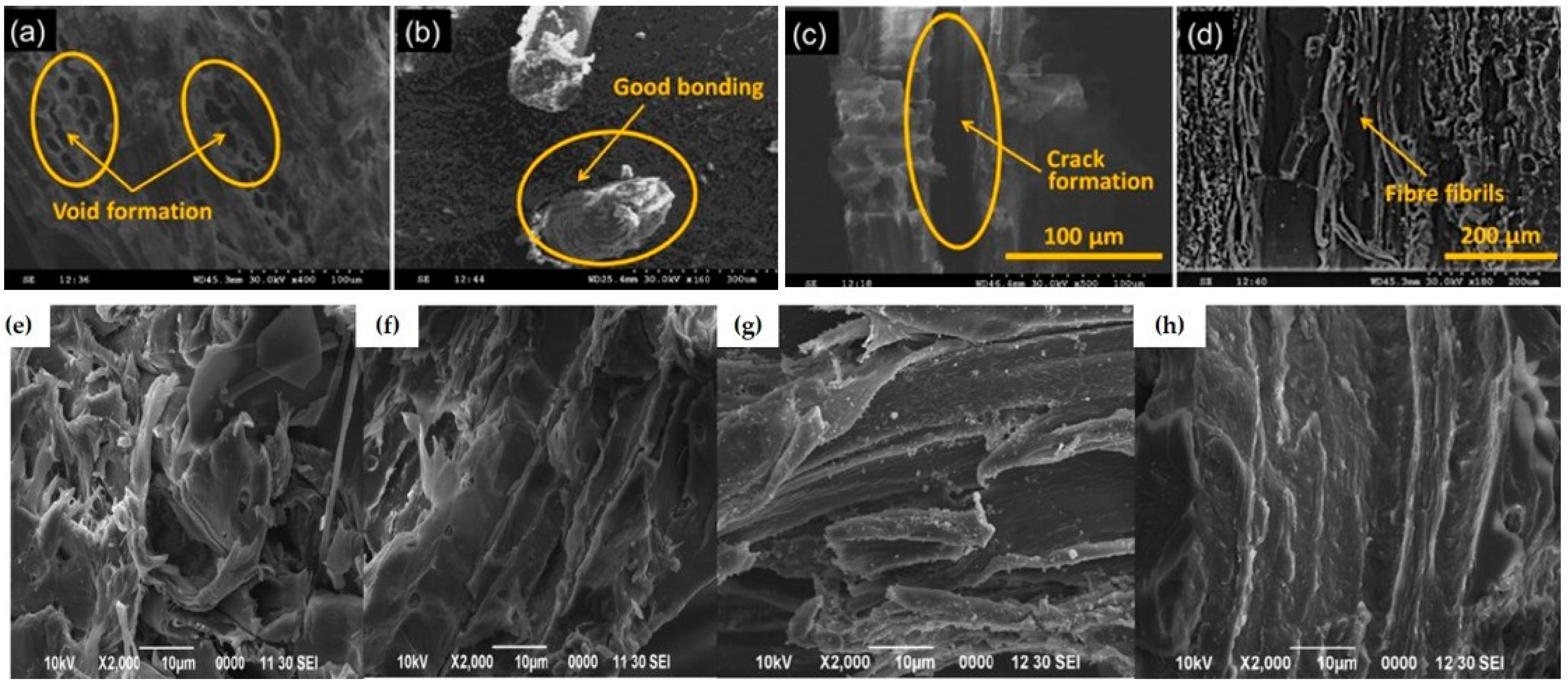 Polymers 16 03289 g010