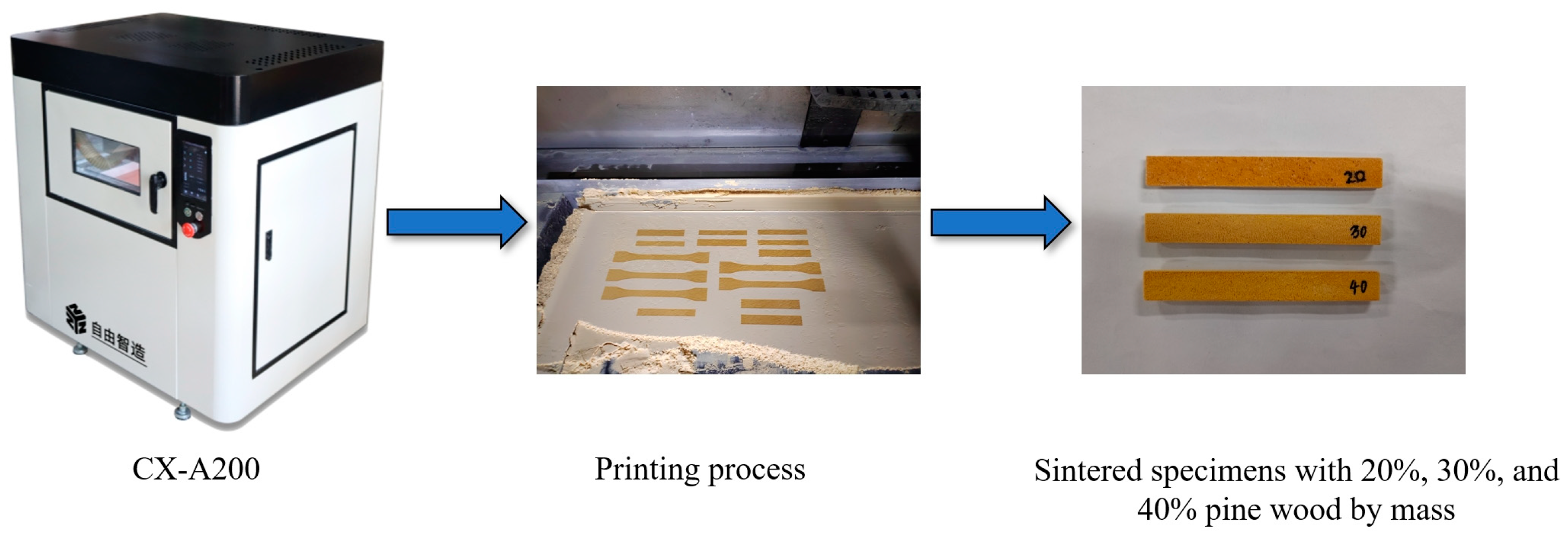 Polymers 16 03290 g001