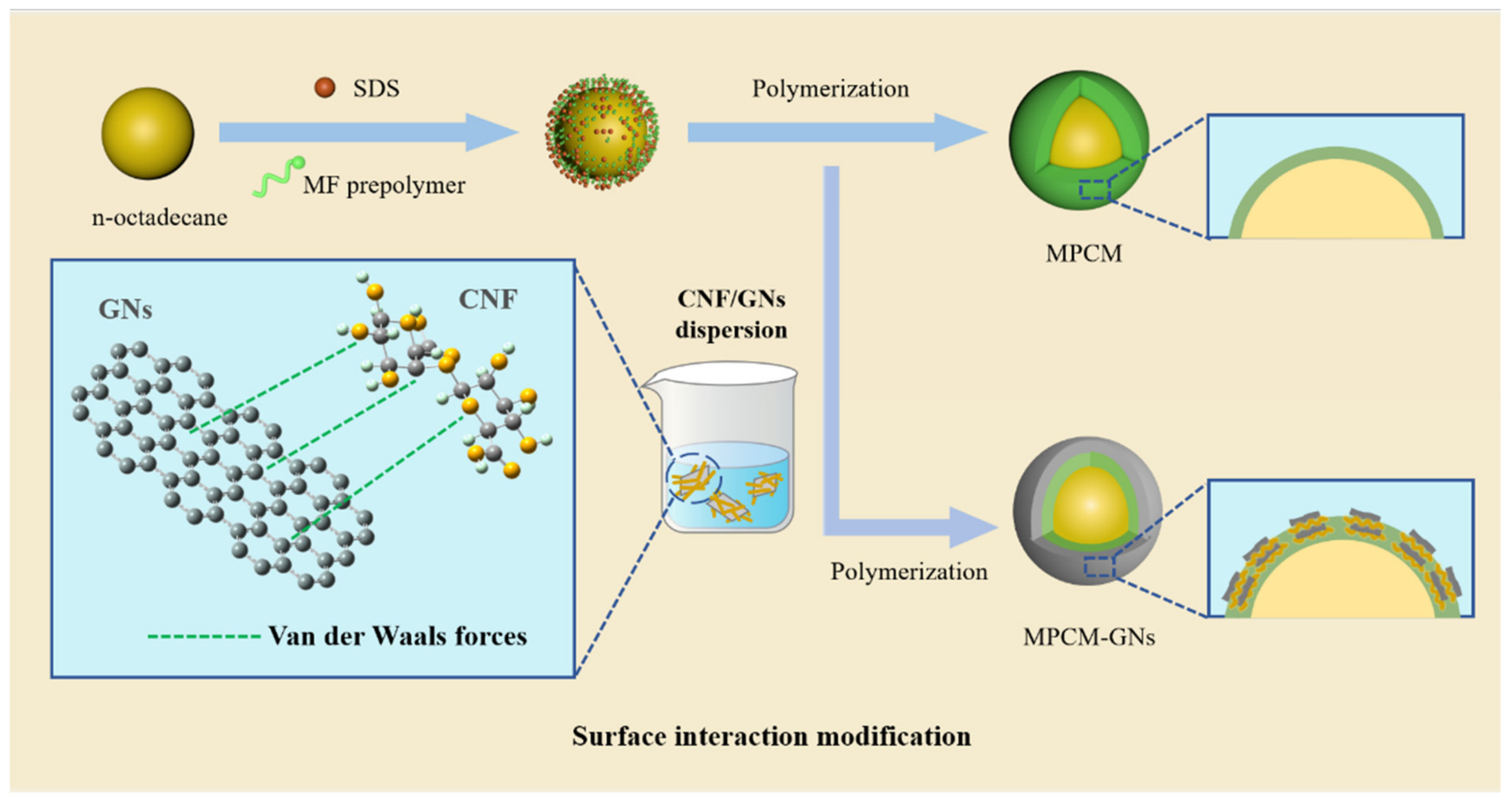 Polymers 16 03291 g001