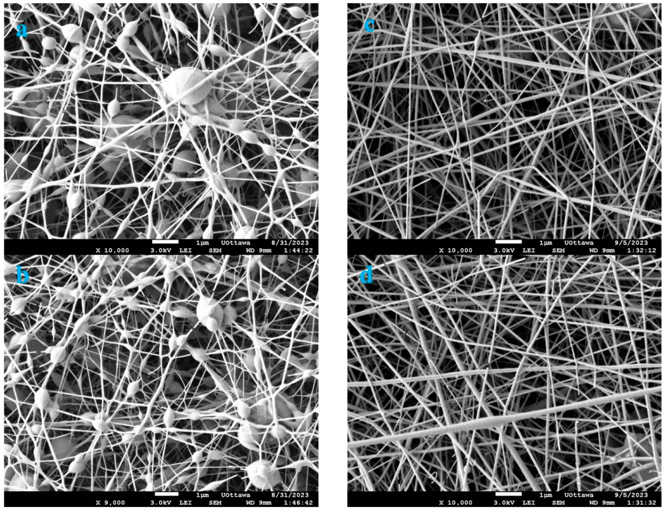 Polymers 16 03297 g007