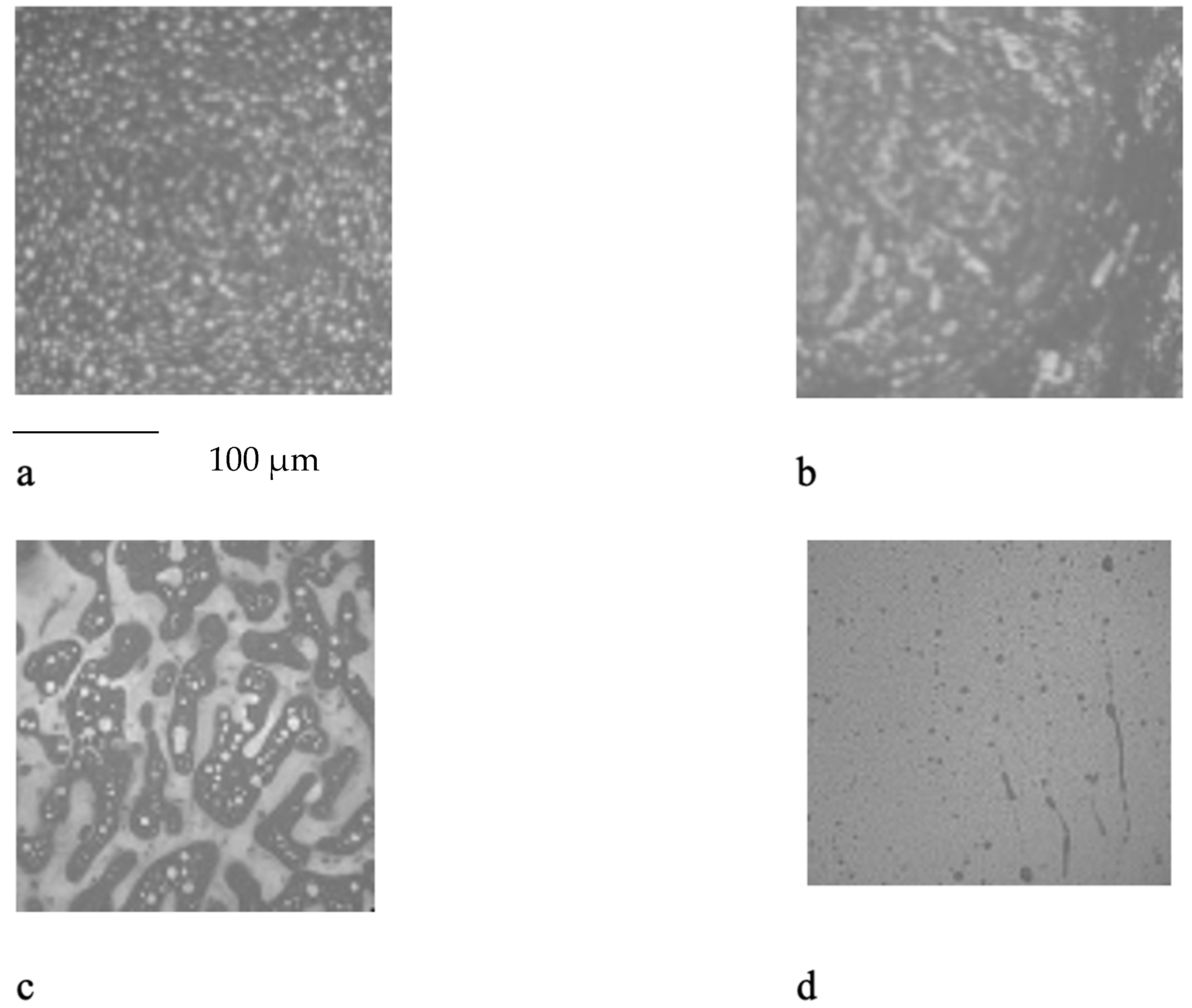 Polymers 16 03300 g001