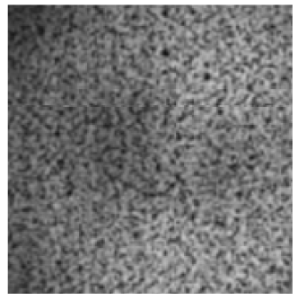 Polymers 16 03300 i002