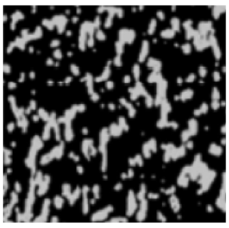 Polymers 16 03300 i006