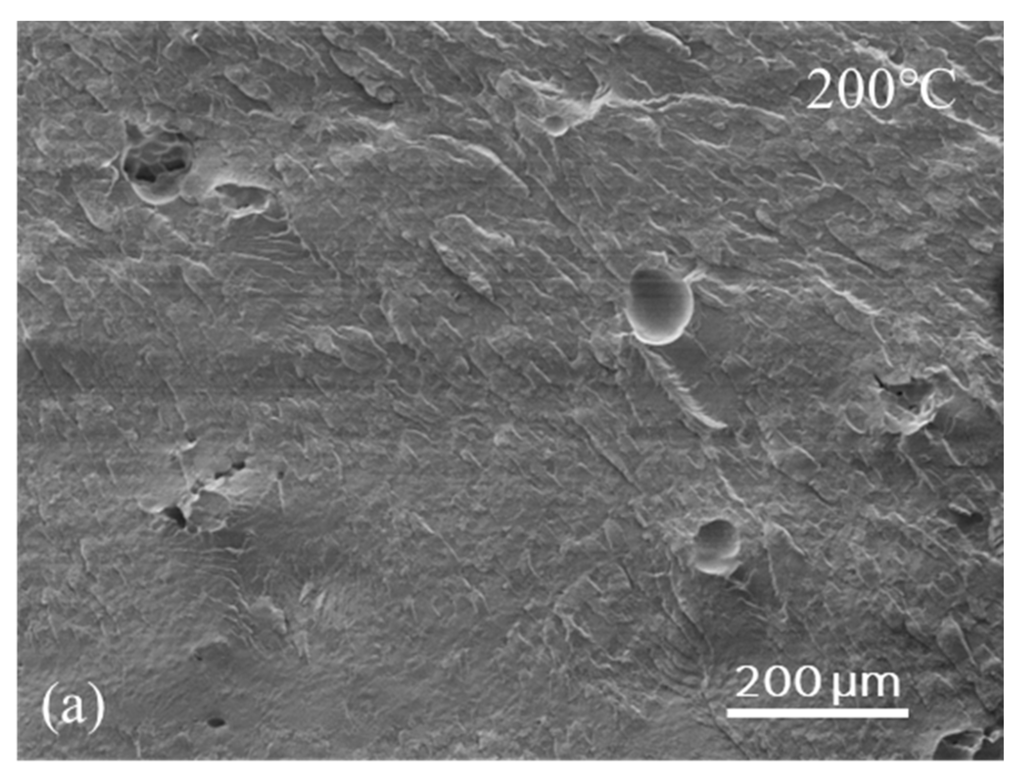 Polymers 16 03301 g005a