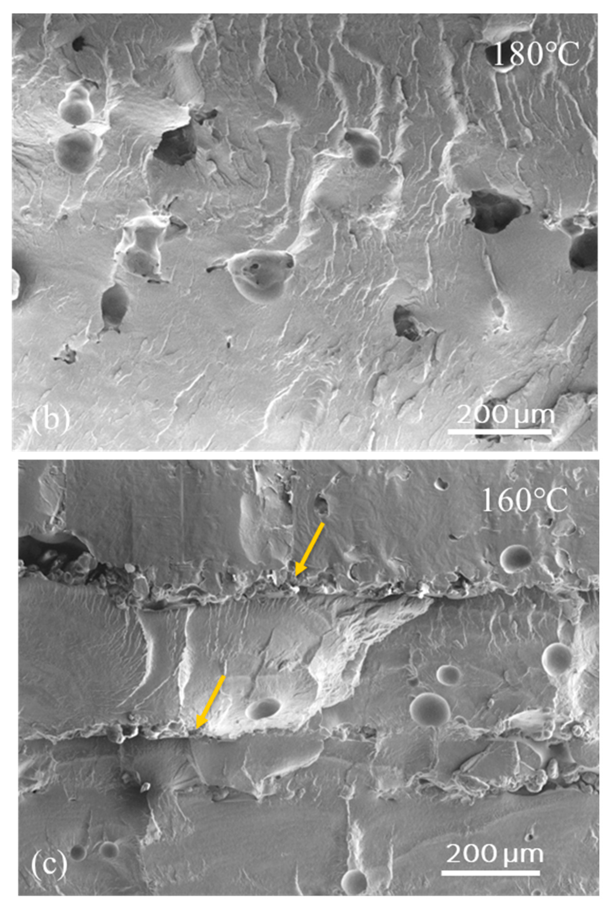 Polymers 16 03301 g005b