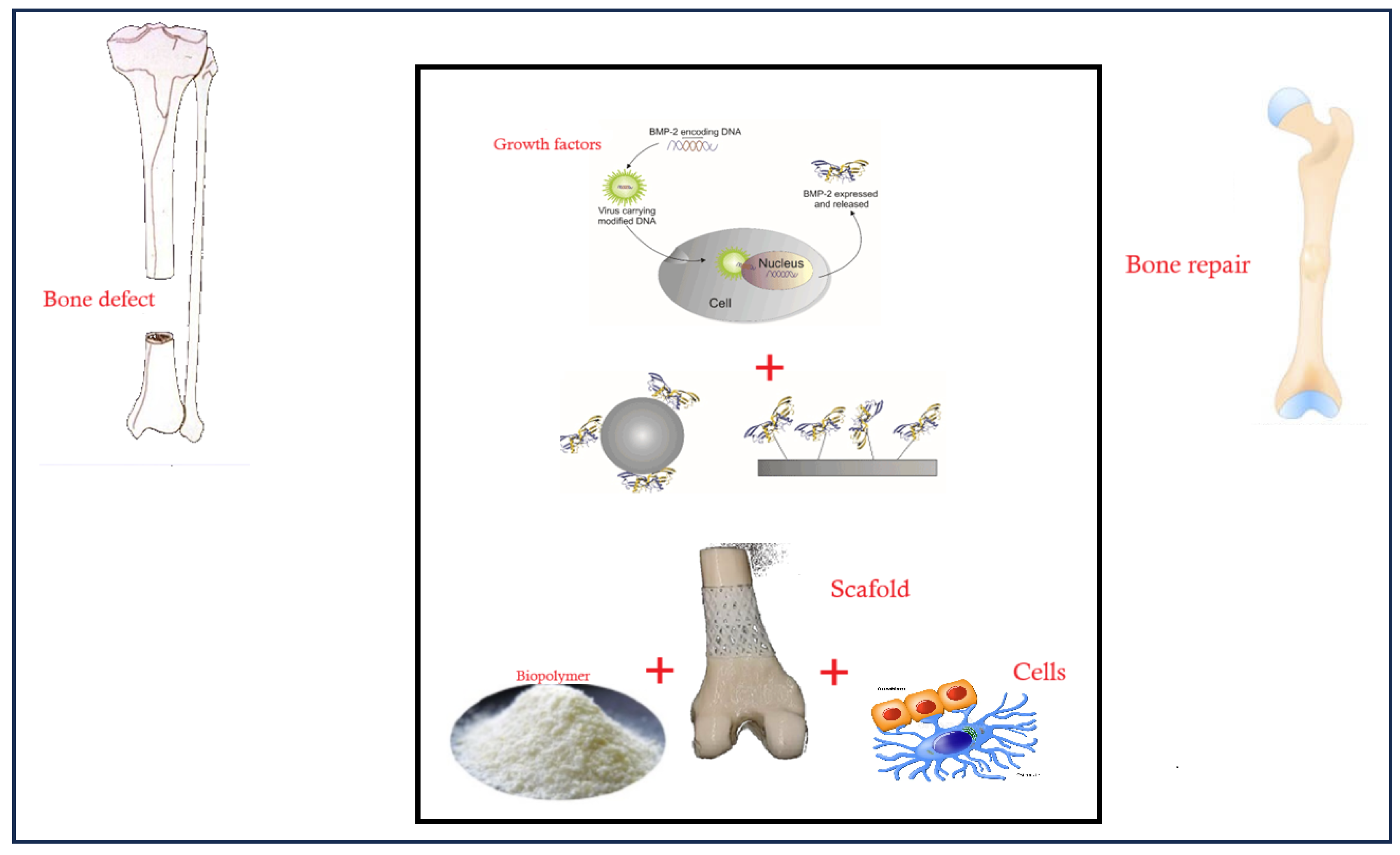Polymers 16 03303 g001