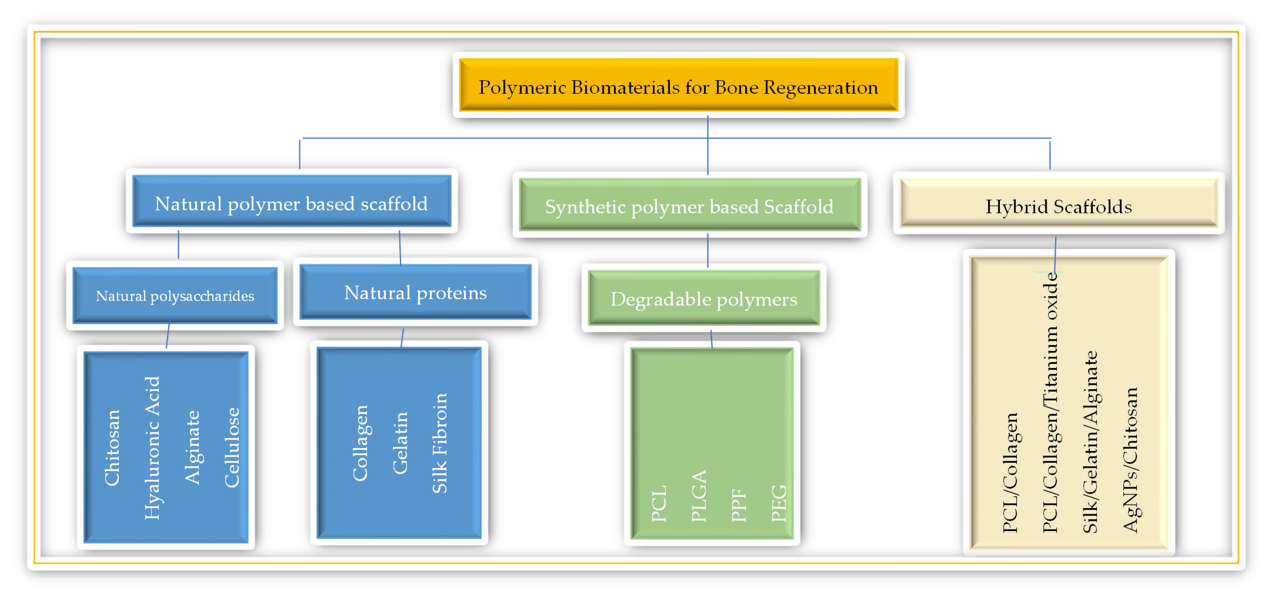 Polymers 16 03303 g002