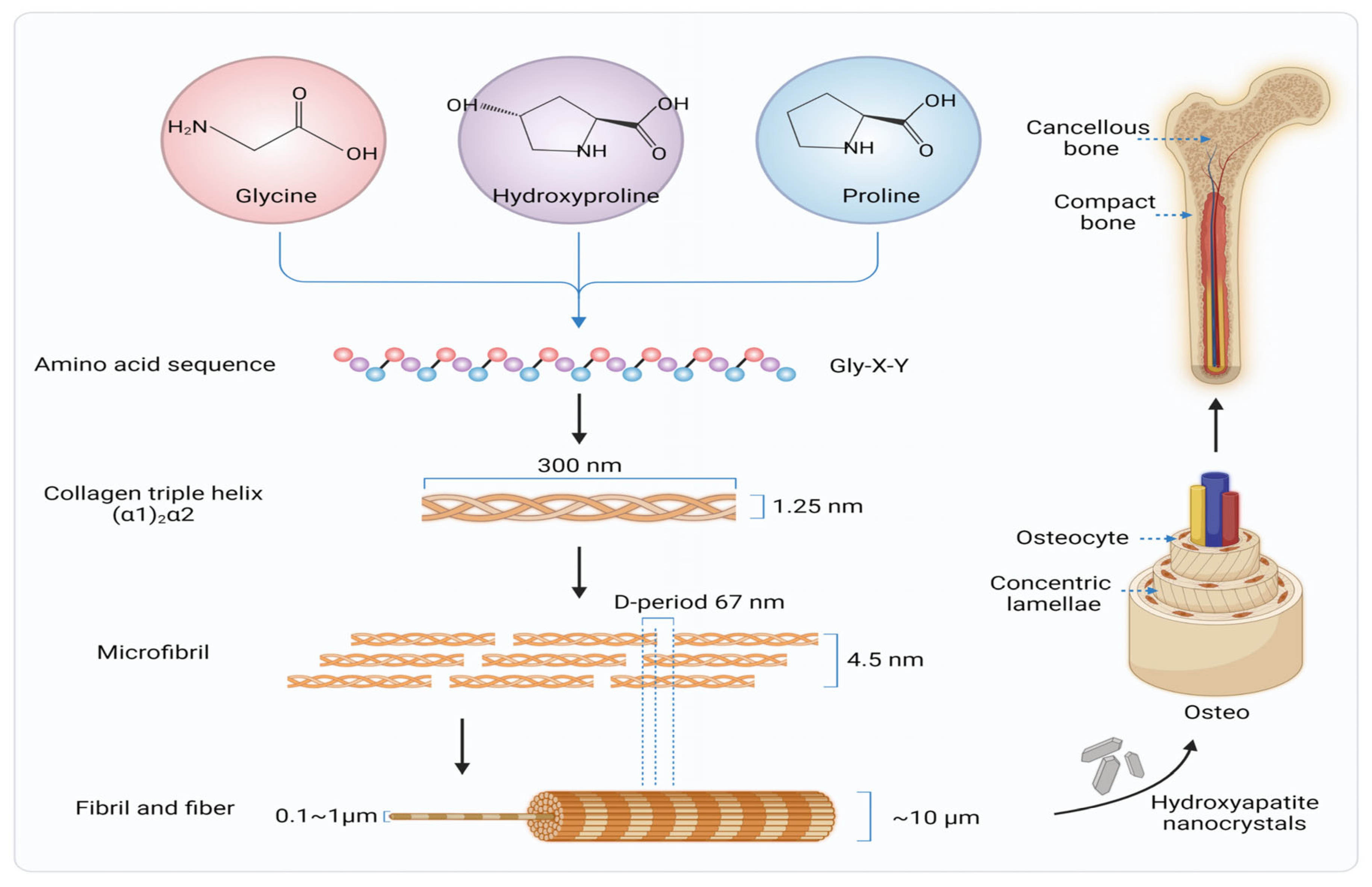 Polymers 16 03303 g003
