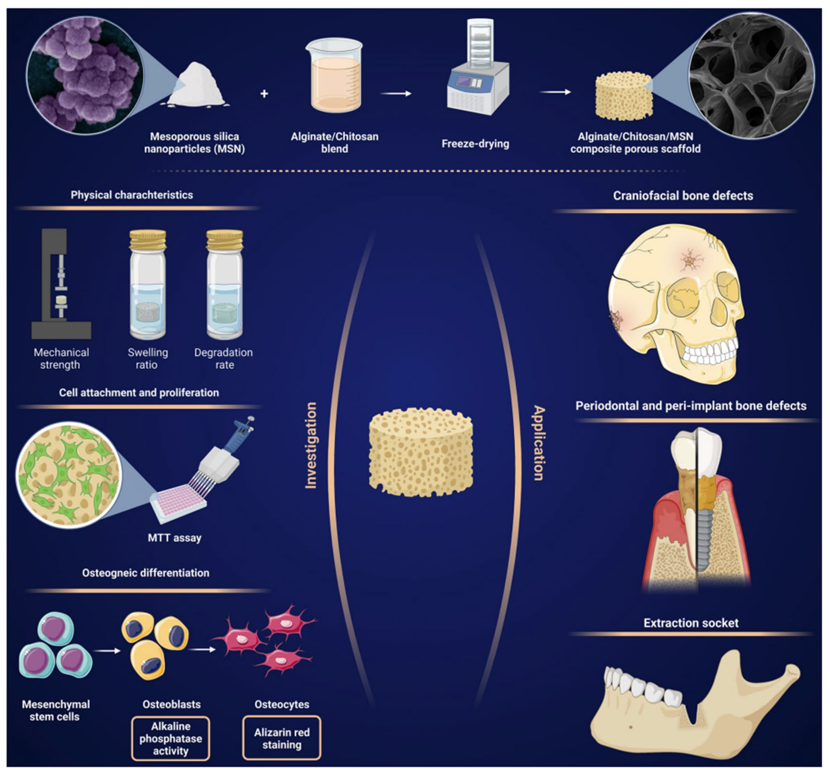 Polymers 16 03303 g004