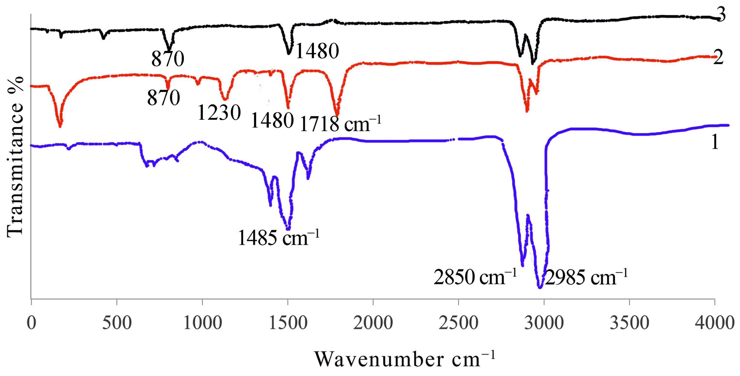 Polymers 16 03308 g002