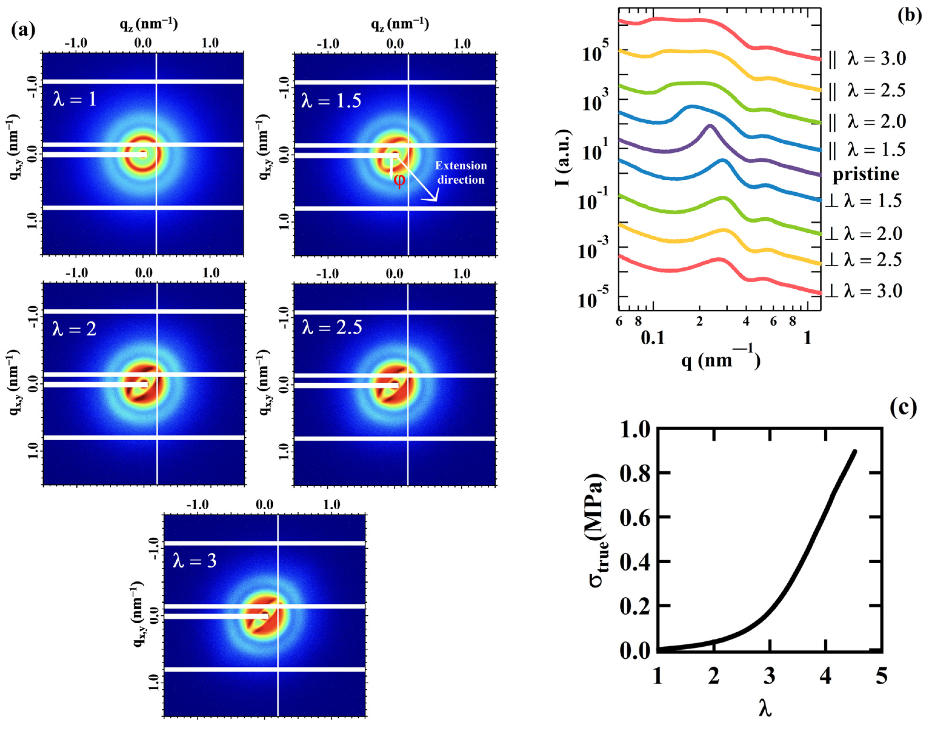 Polymers 16 03309 g002