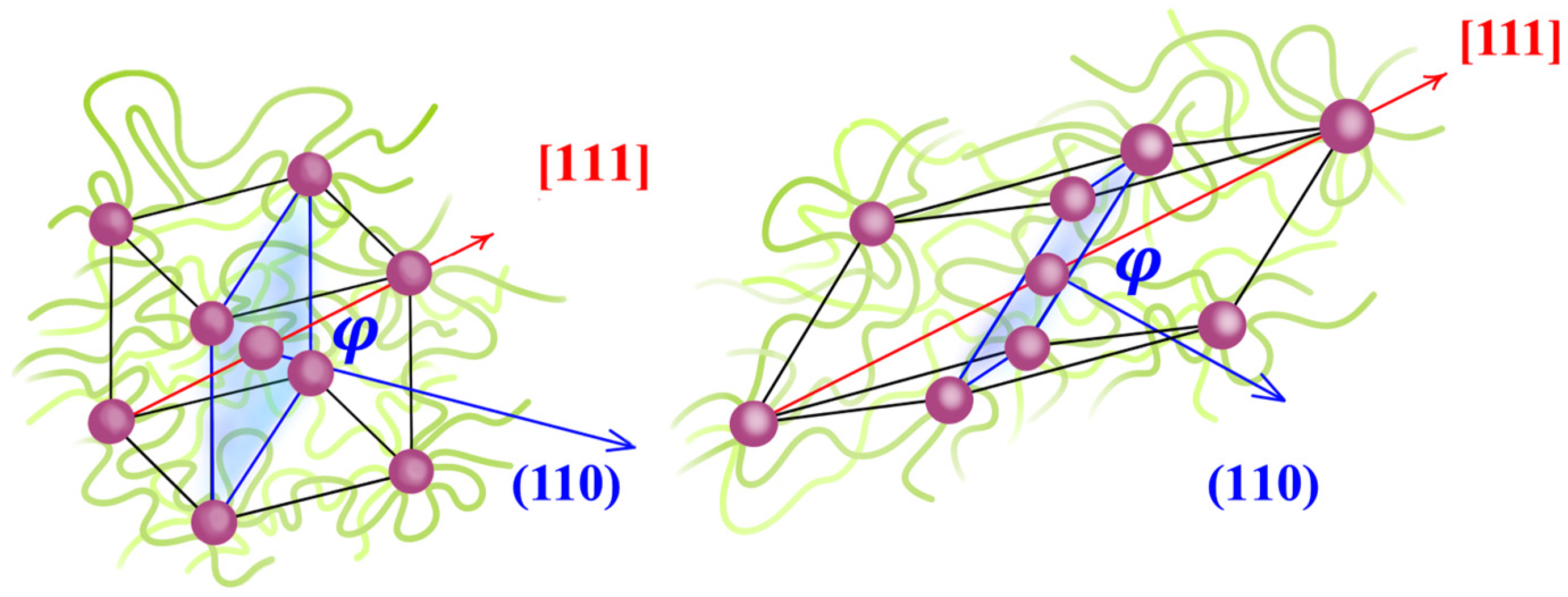 Polymers 16 03309 g007