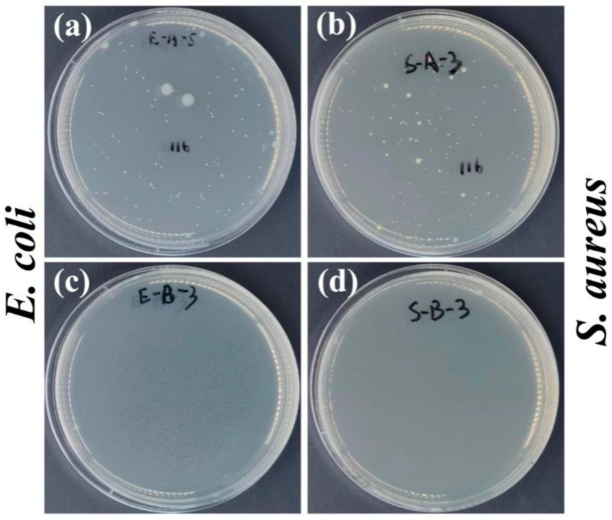 Polymers 16 03310 g009