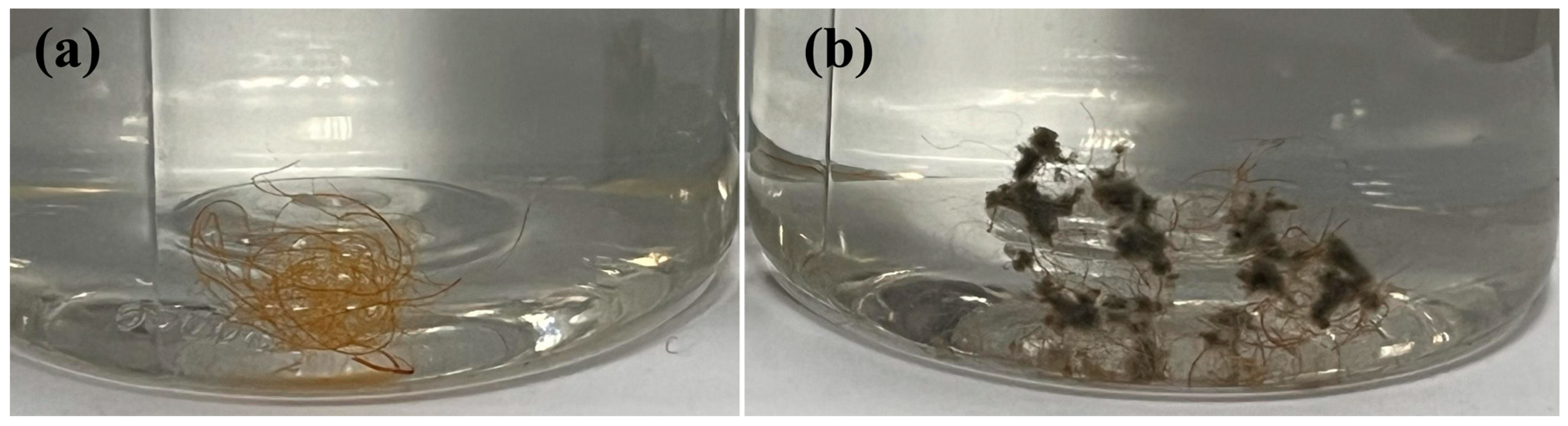 Polymers 16 03310 g010