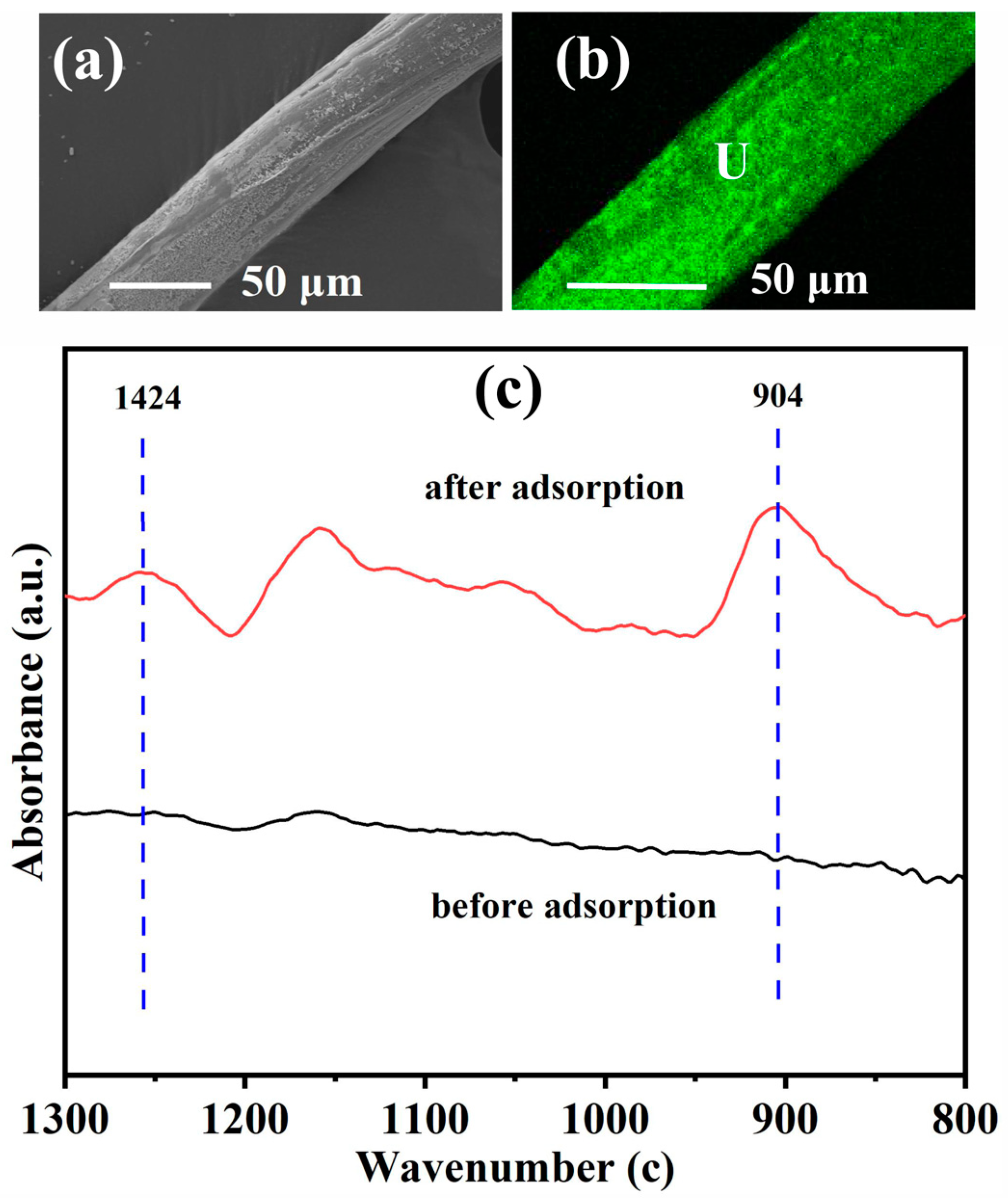 Polymers 16 03310 g011