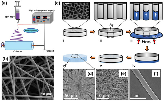 Piezoelectric Biopolymers: Advancements in Energy Harvesting