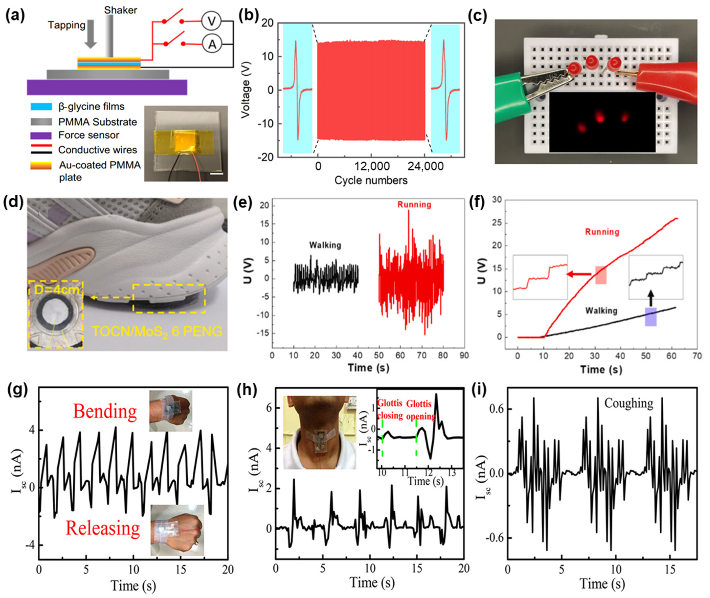 Polymers 16 03314 g008