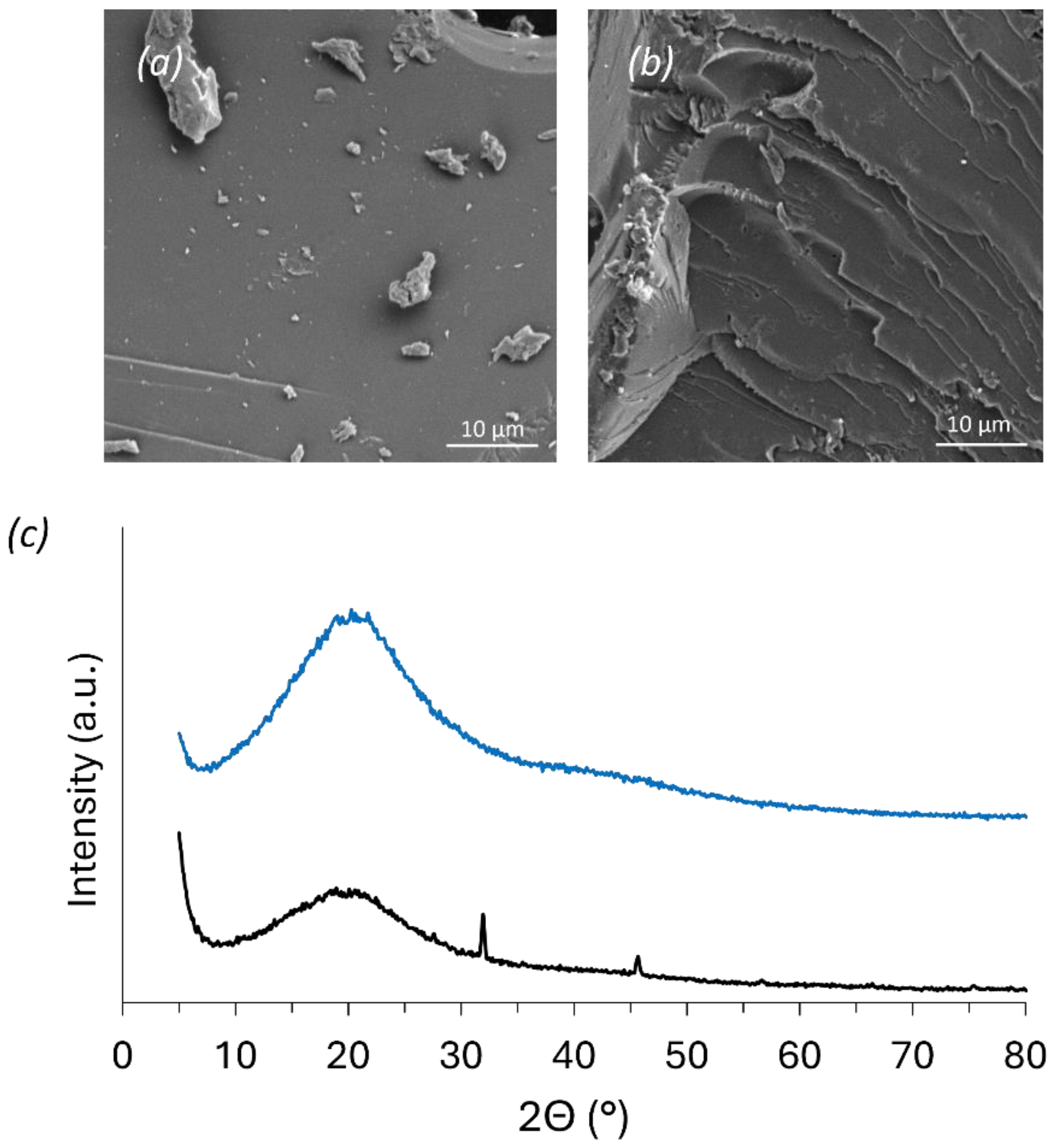 Polymers 16 03315 g004