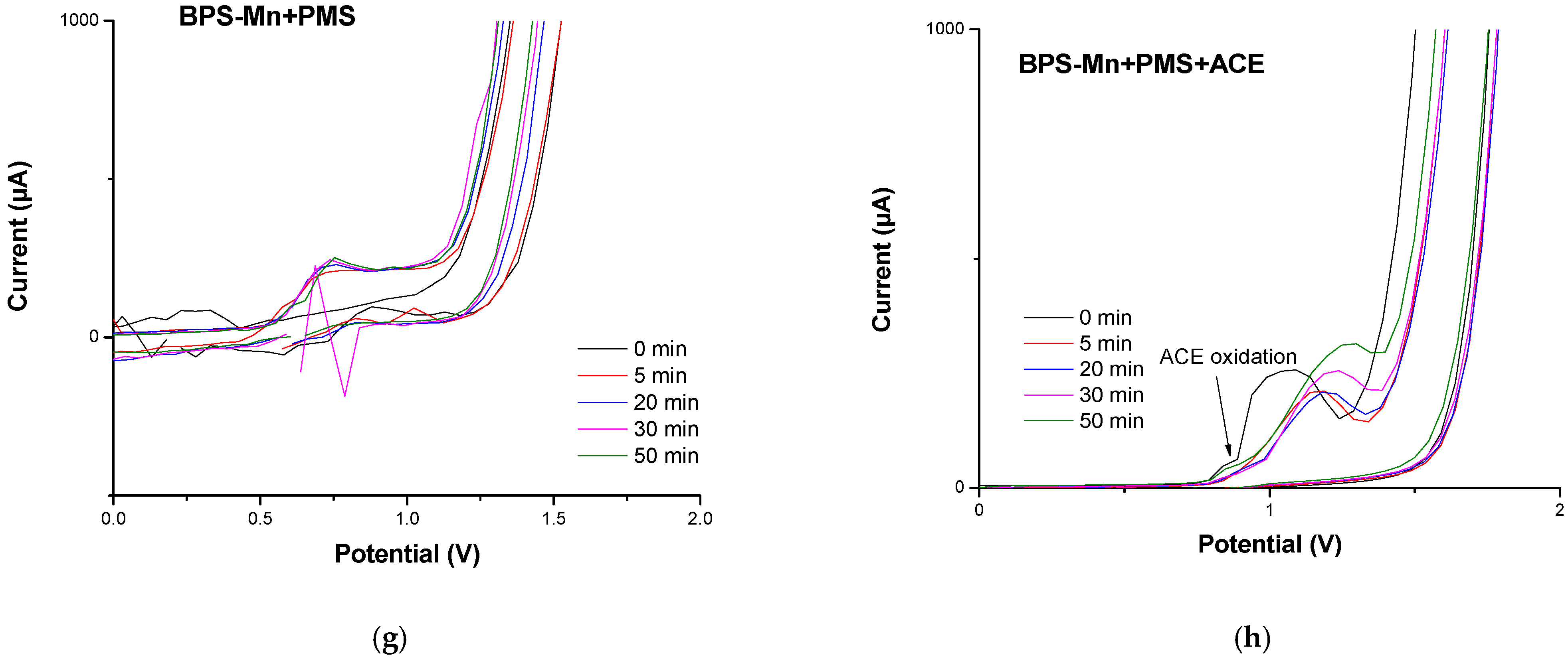 Polymers 16 03316 g006b