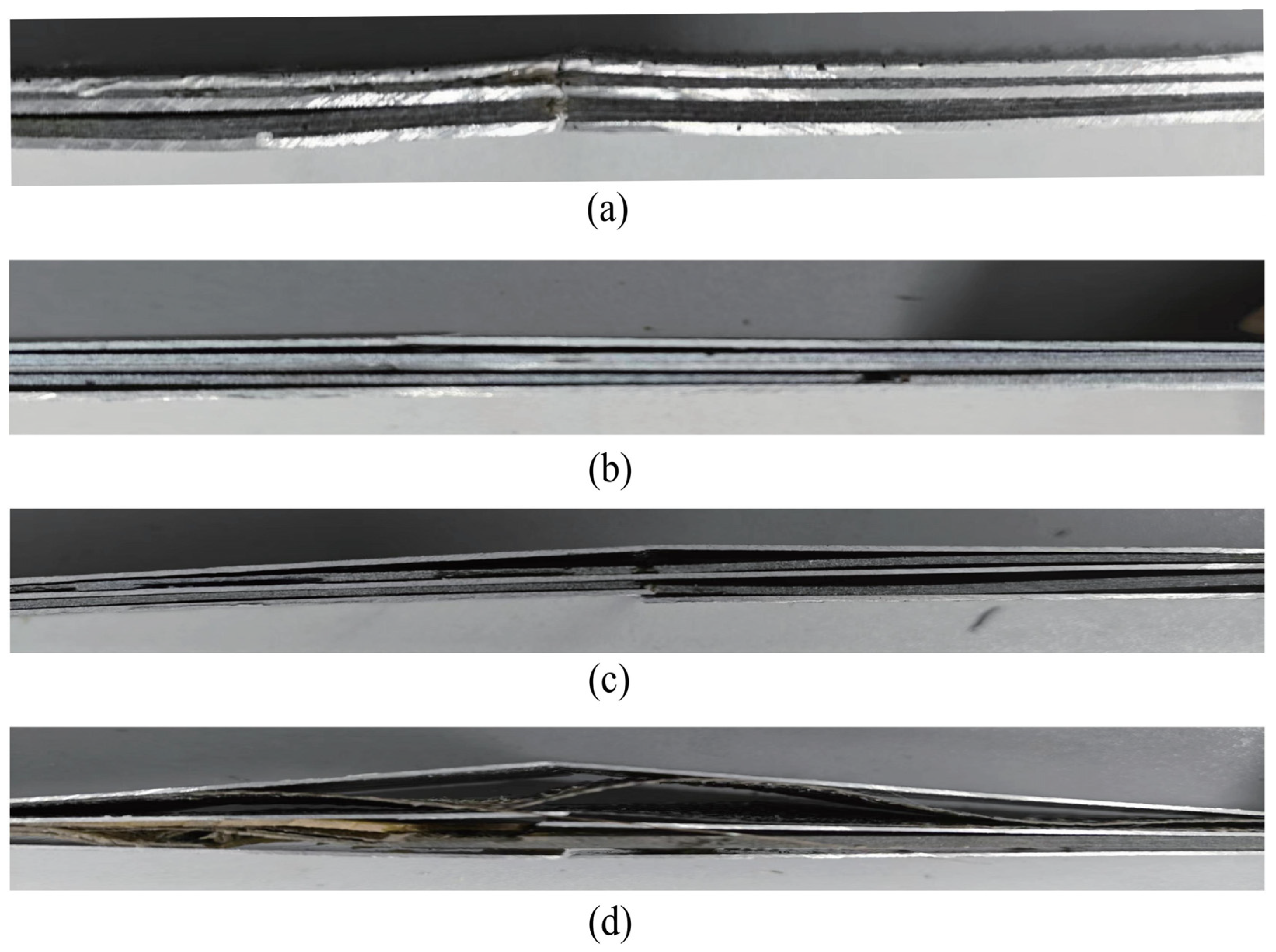 Polymers 16 03319 g008