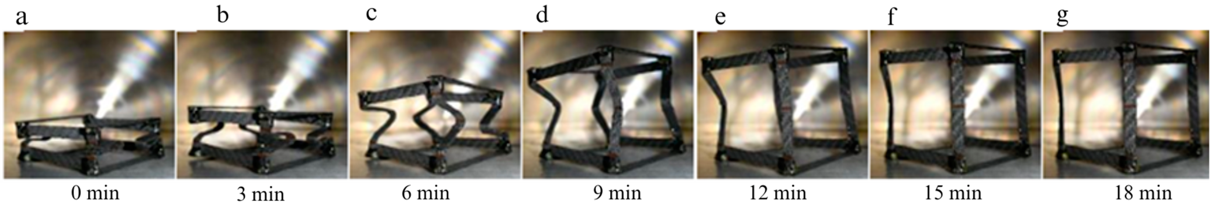 Polymers 16 03326 g004
