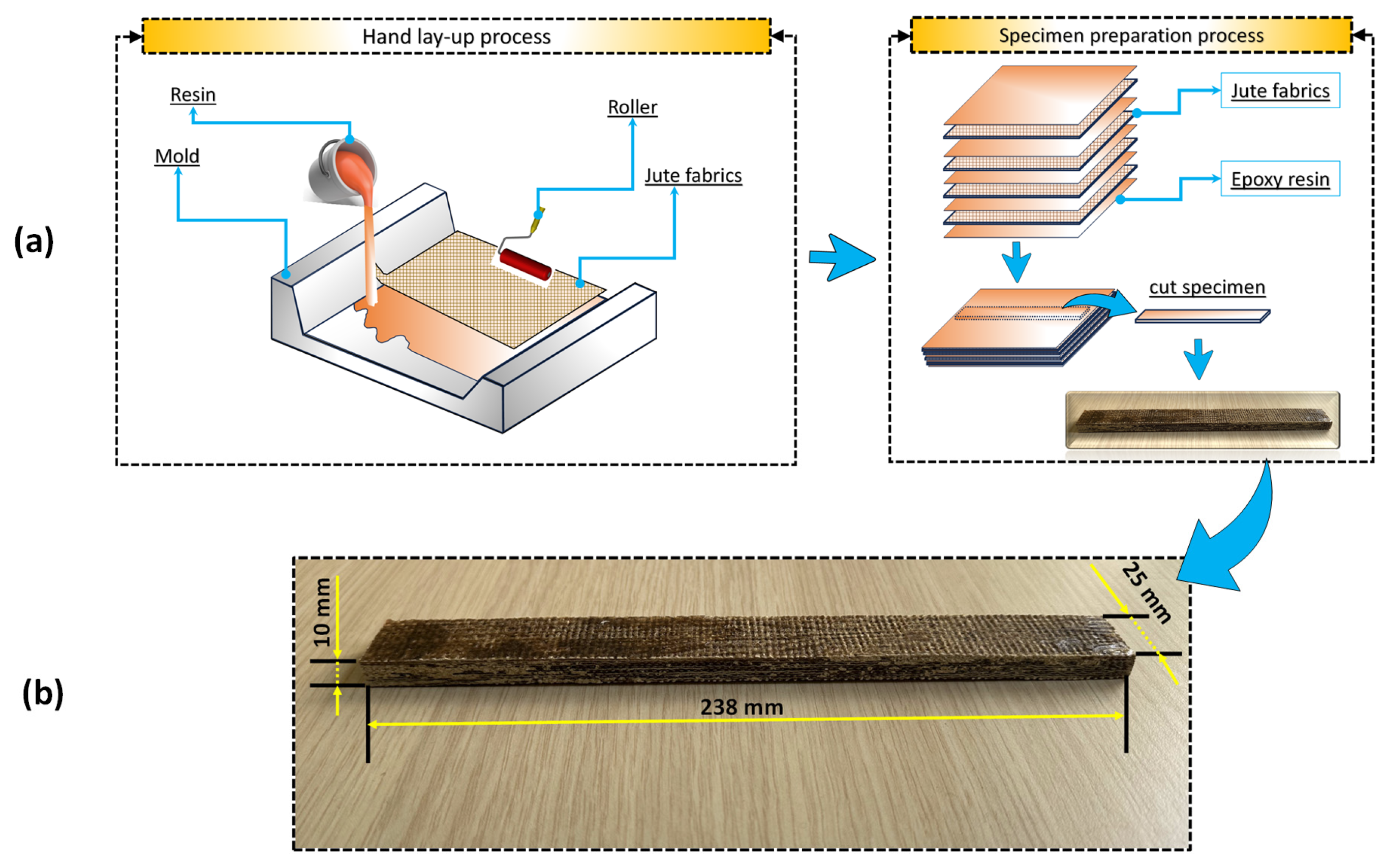 Polymers 16 03329 g001