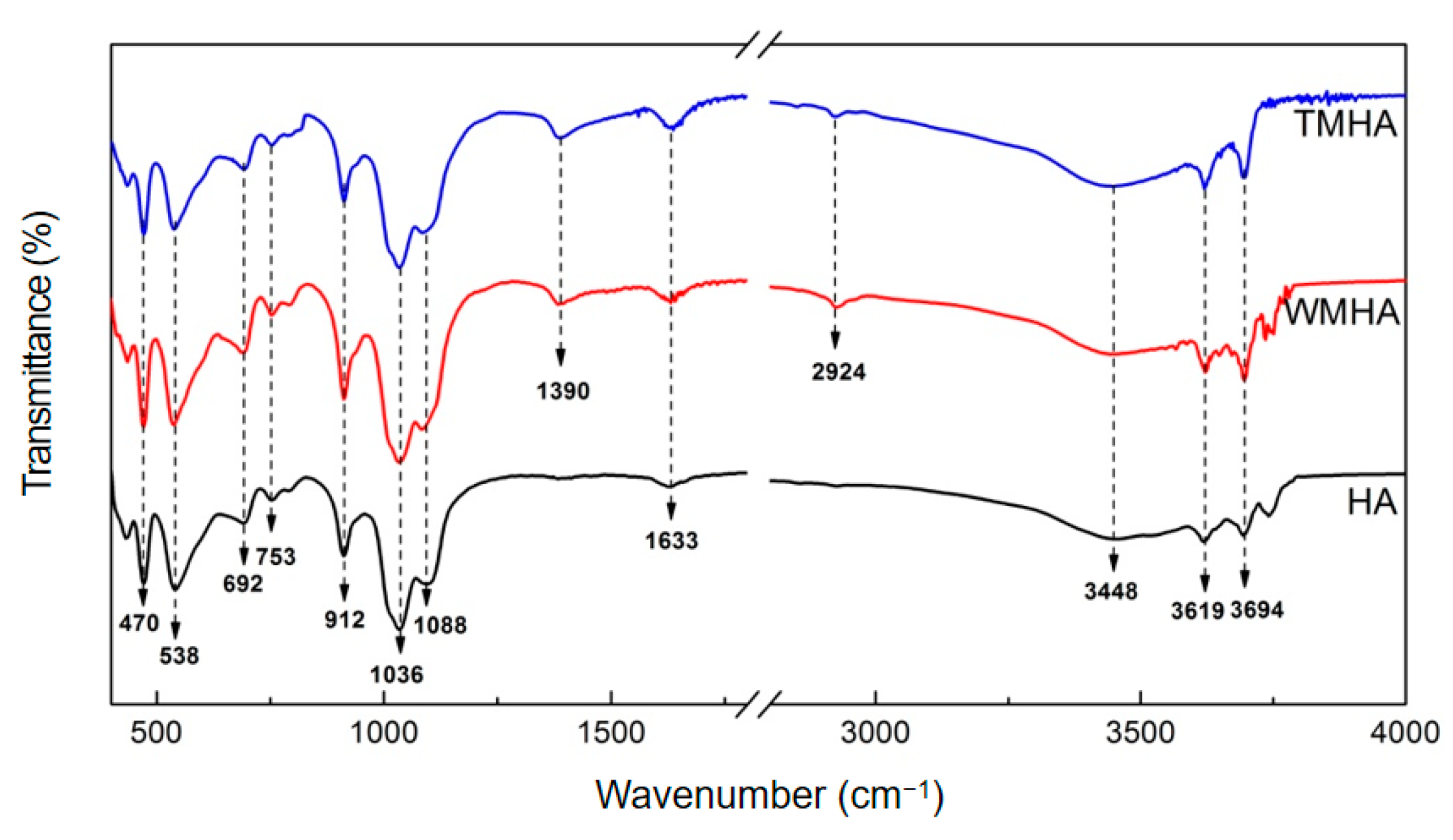Polymers 16 03332 g001