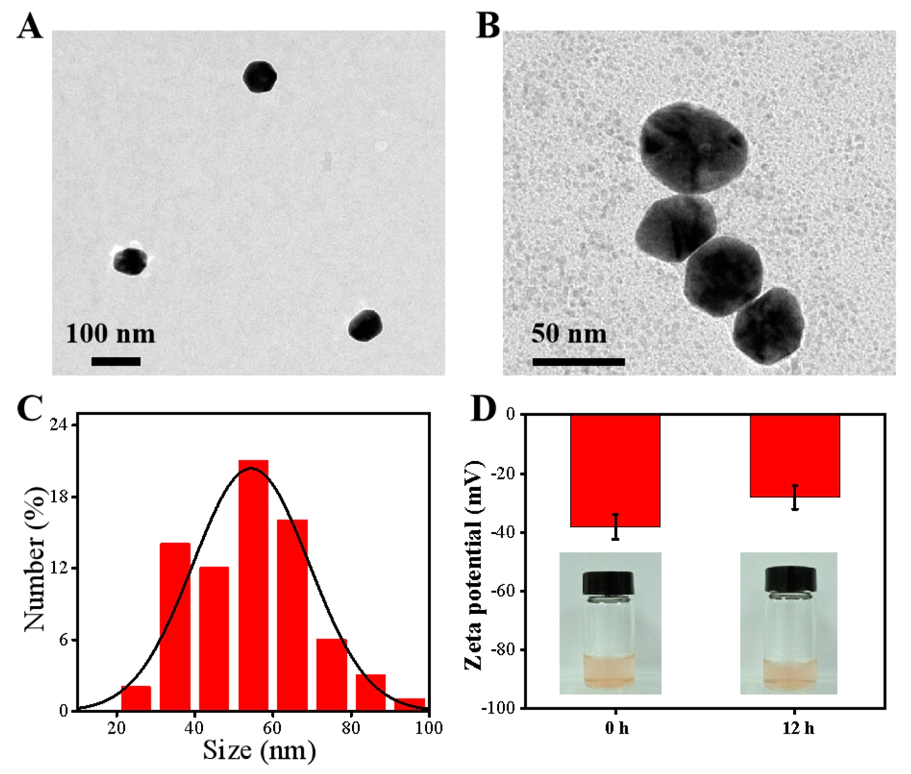 Polymers 16 03333 g002