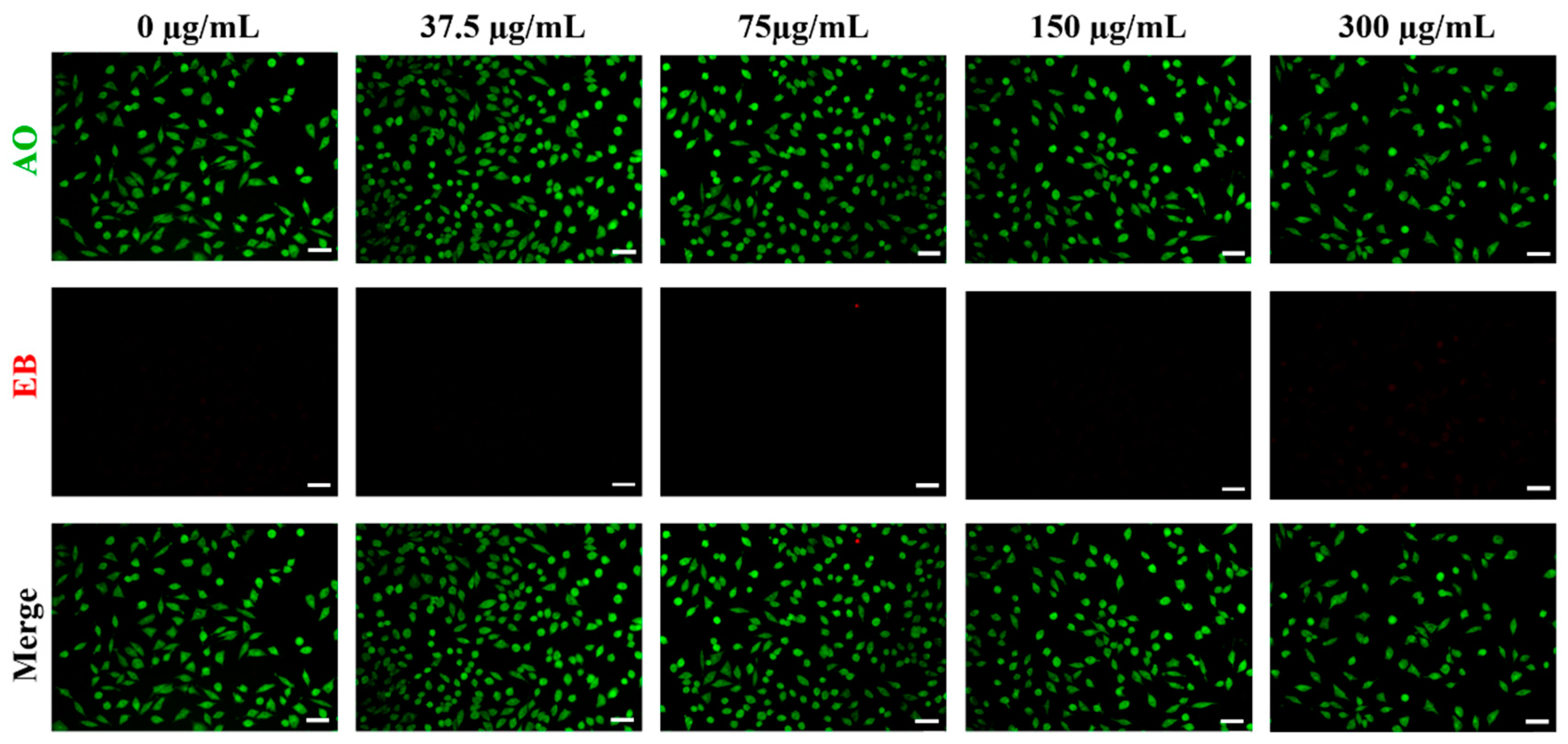 Polymers 16 03333 g003