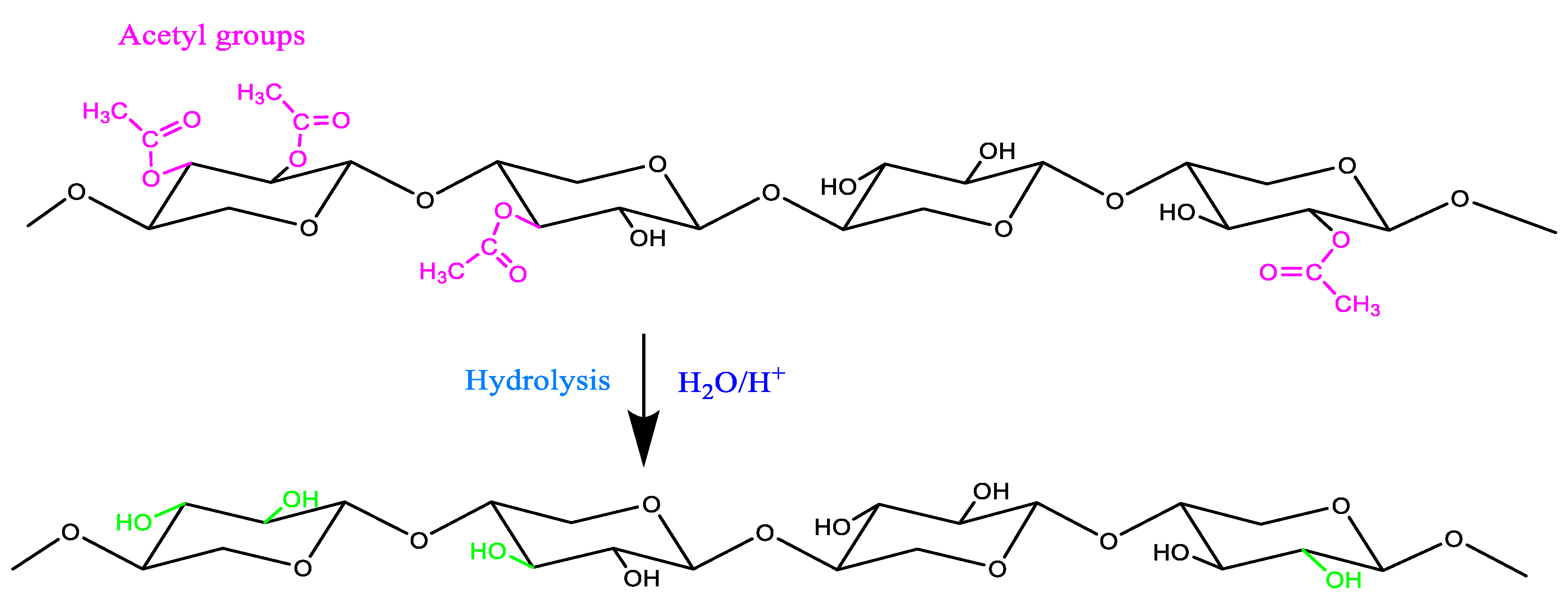 Polymers 16 03334 g001