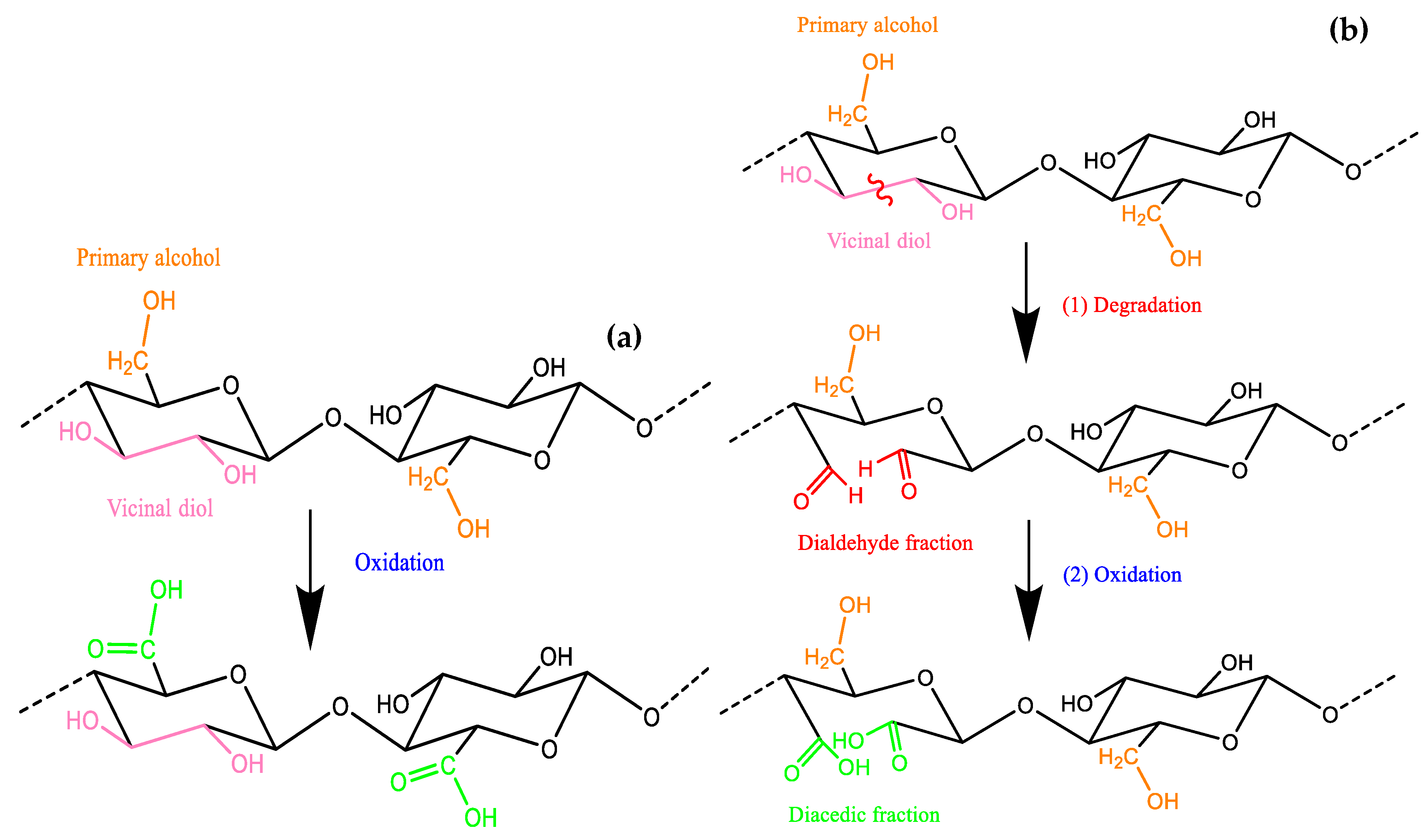 Polymers 16 03334 g002