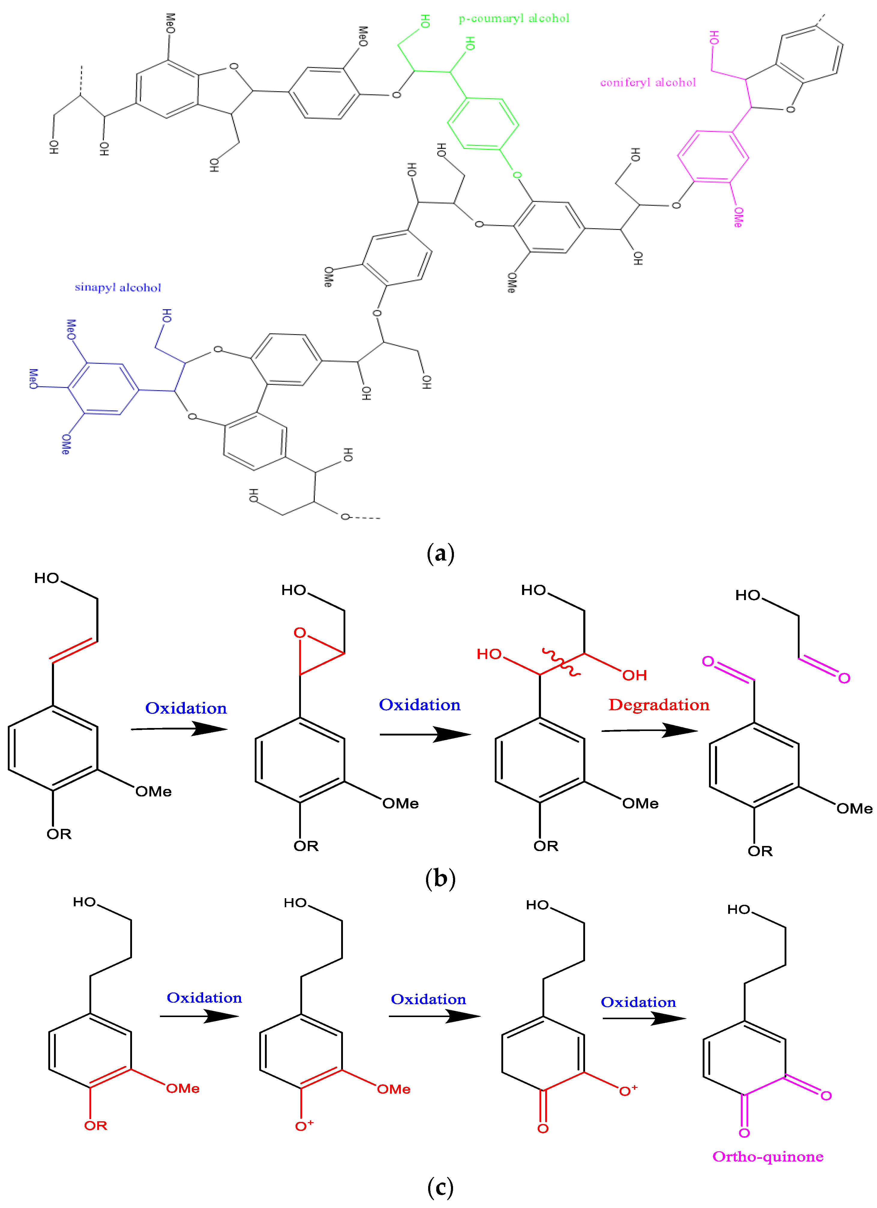 Polymers 16 03334 g003