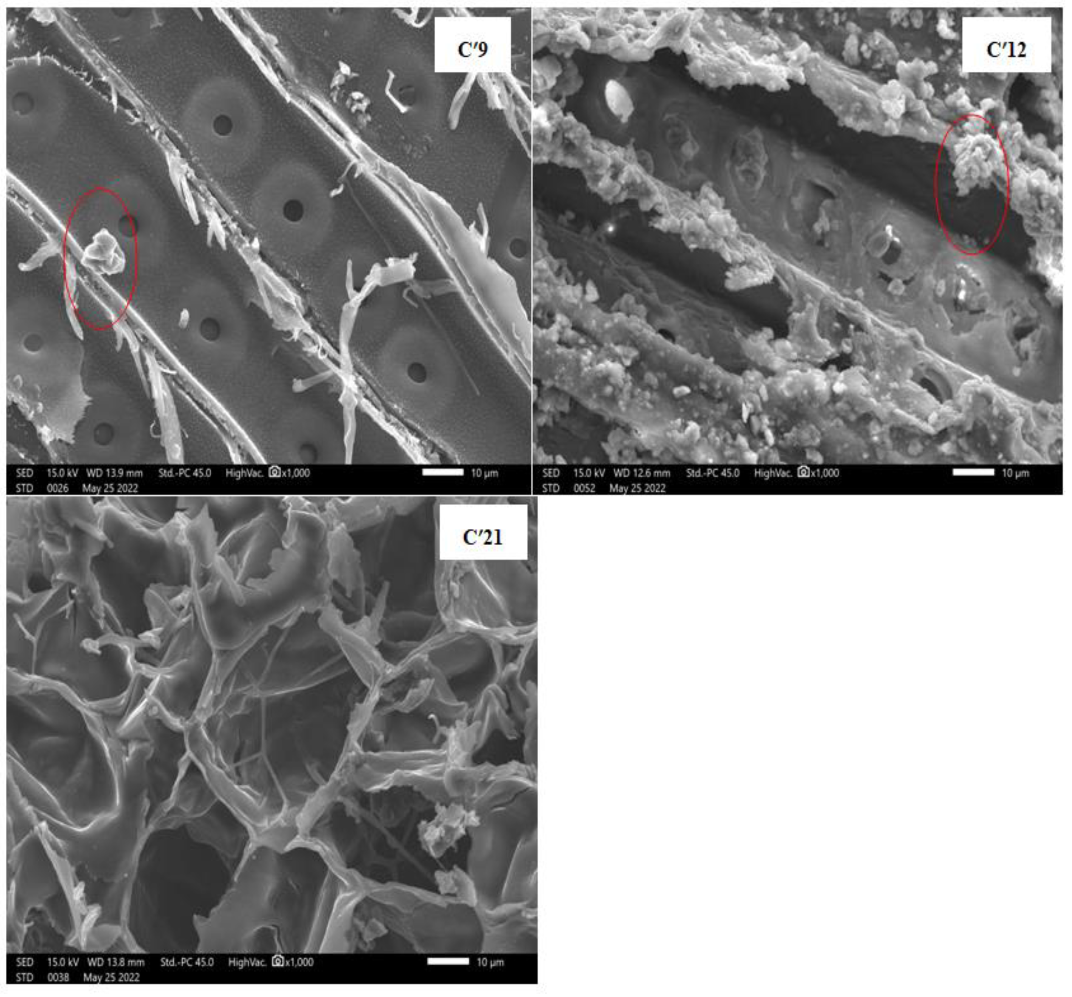 Polymers 16 03334 g010