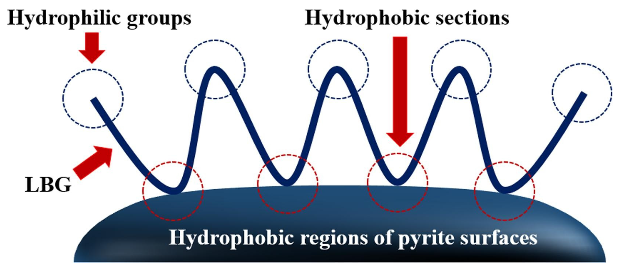 Polymers 16 03335 g005