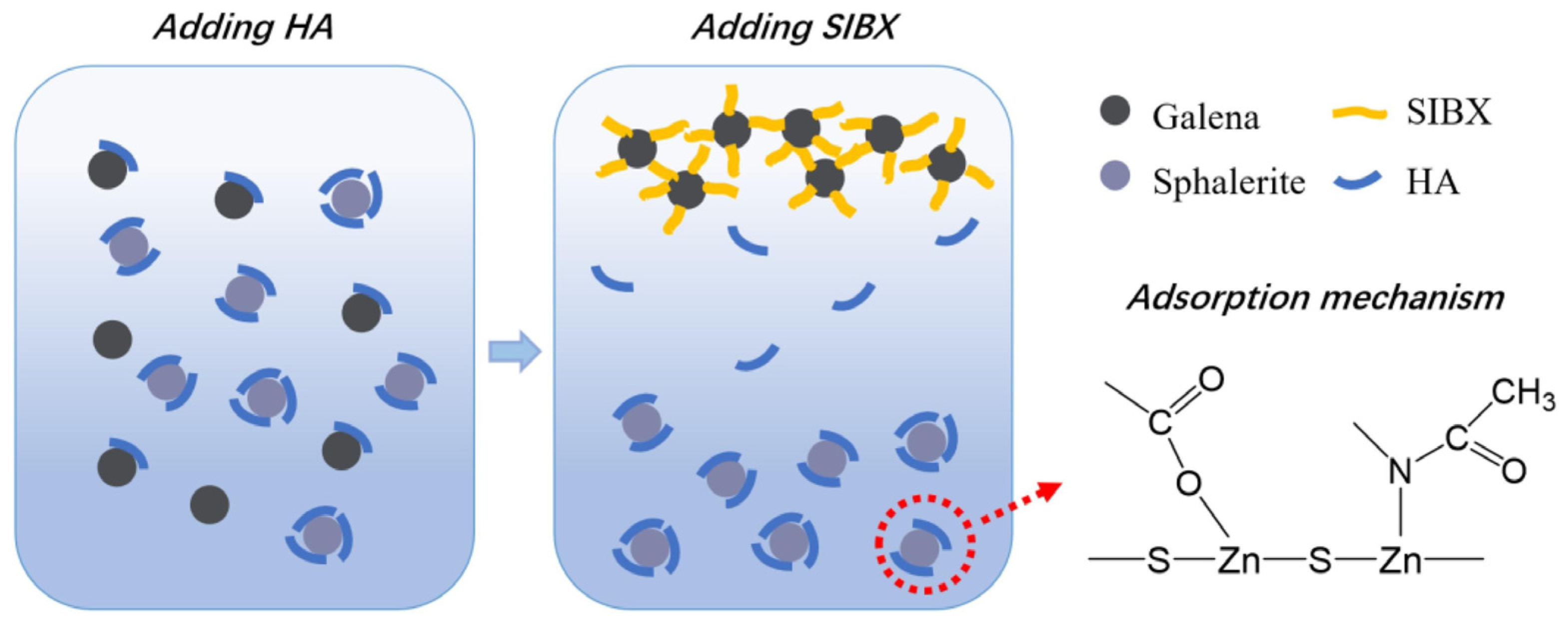 Polymers 16 03335 g009