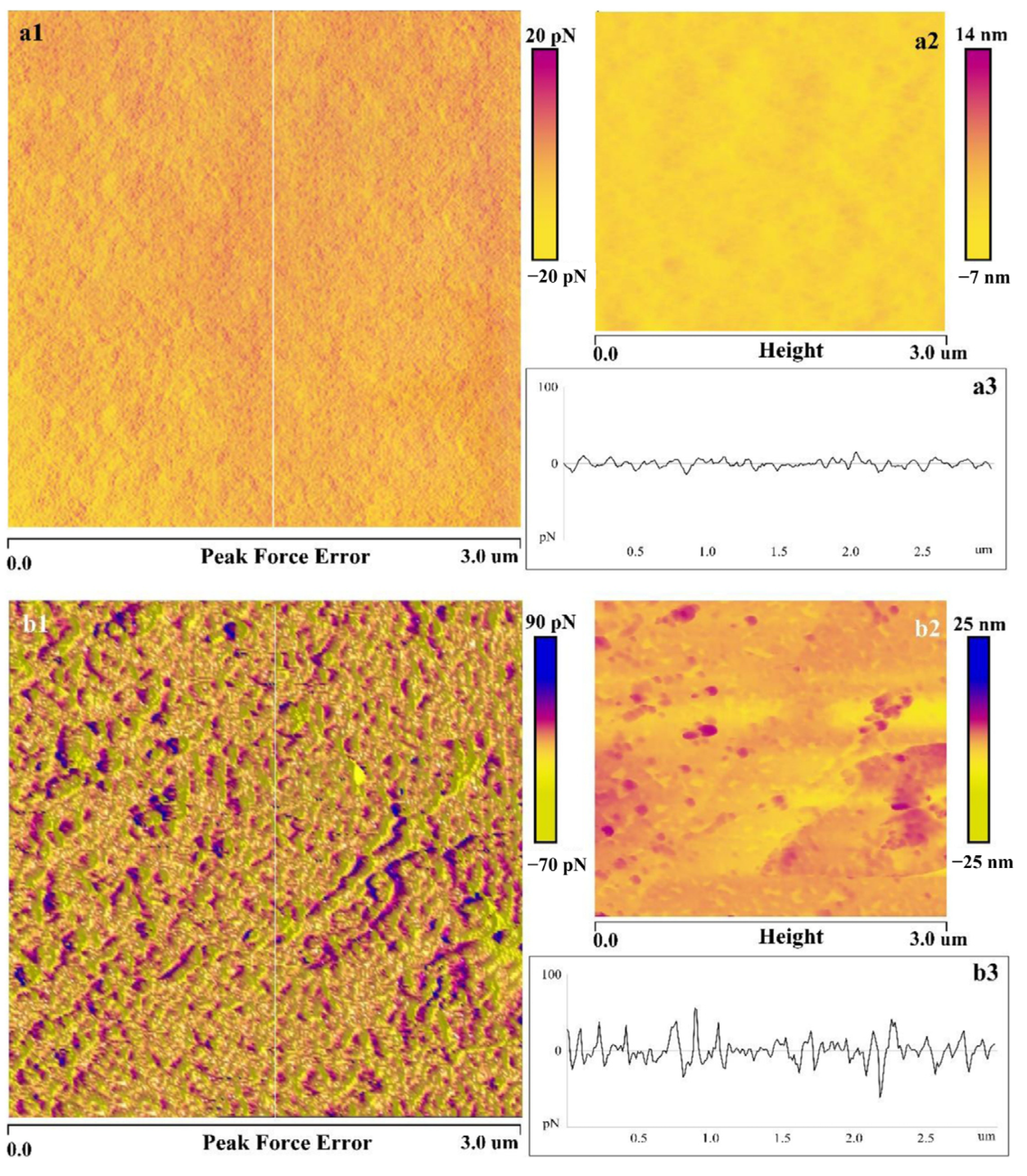 Polymers 16 03335 g012