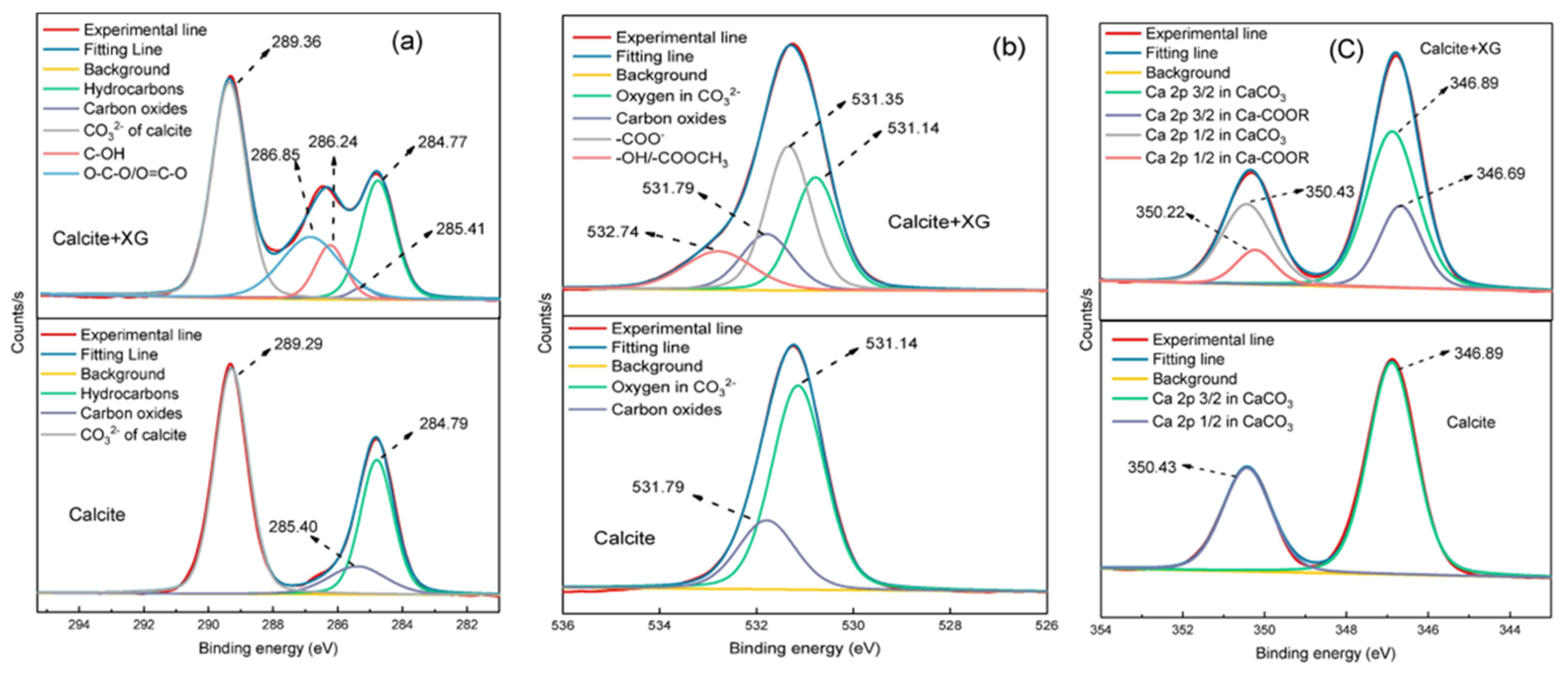 Polymers 16 03335 g013