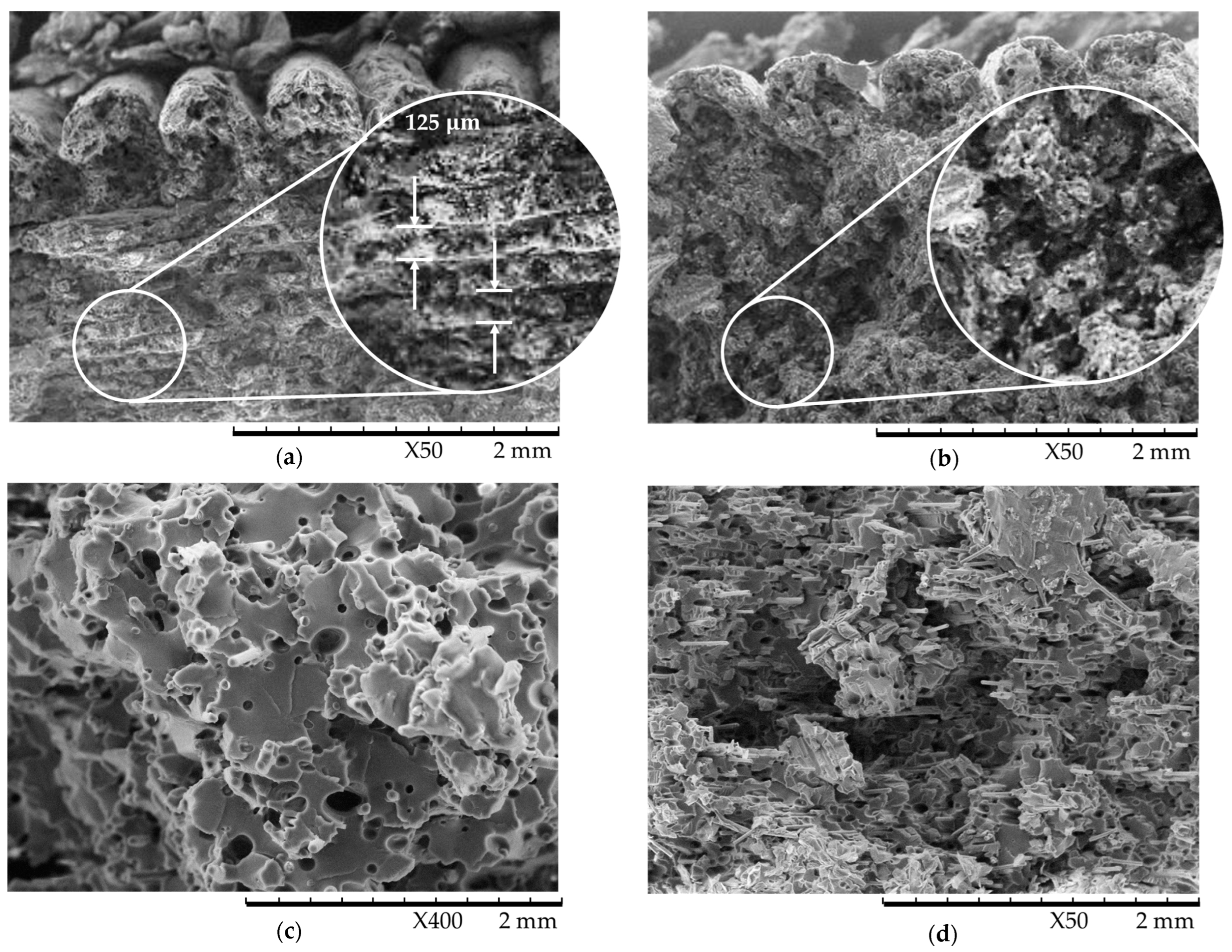 Polymers 16 03336 g010