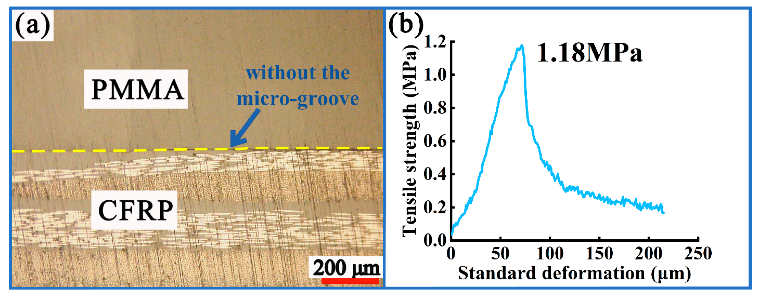 Polymers 16 03338 g001