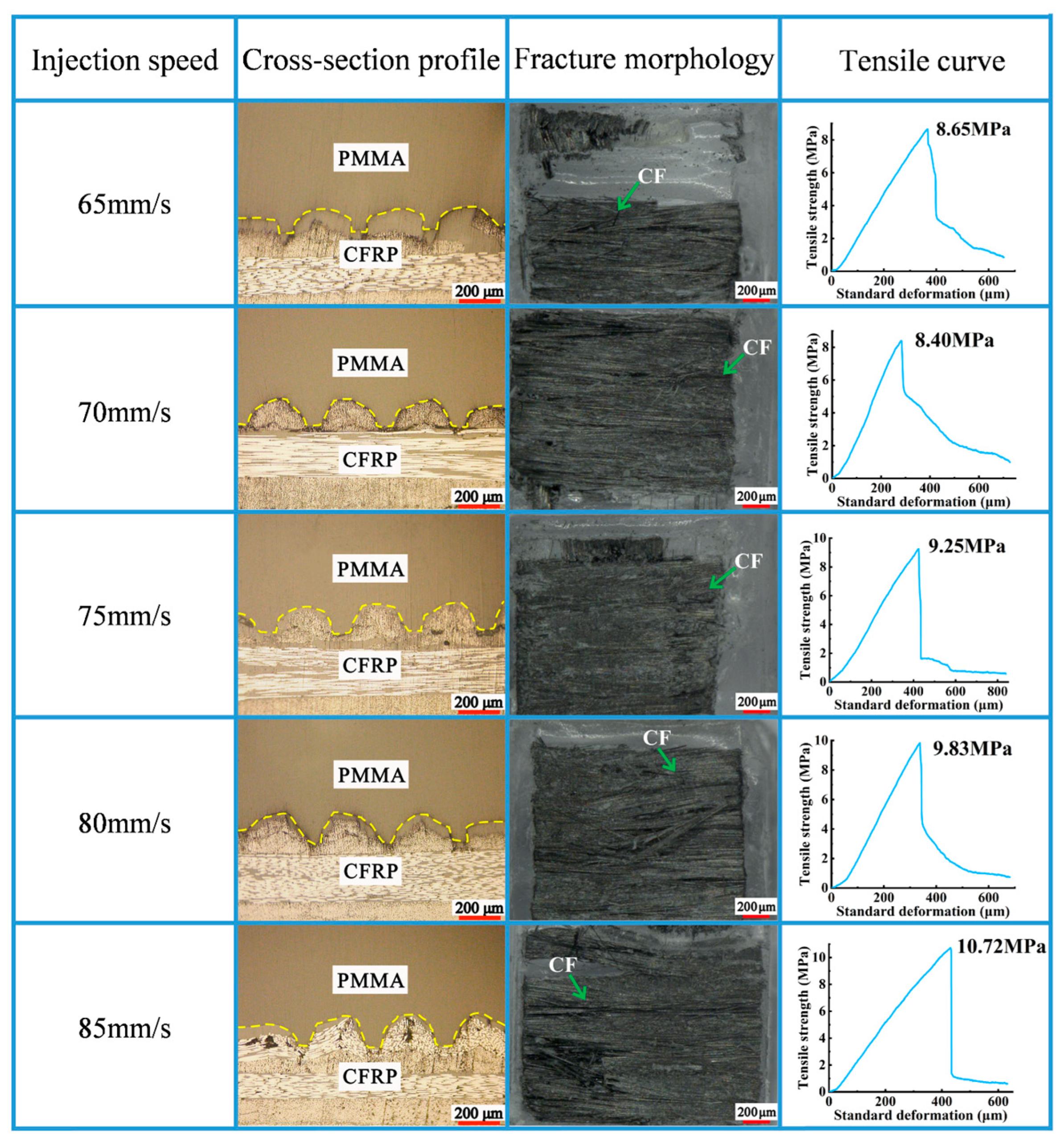 Polymers 16 03338 g007