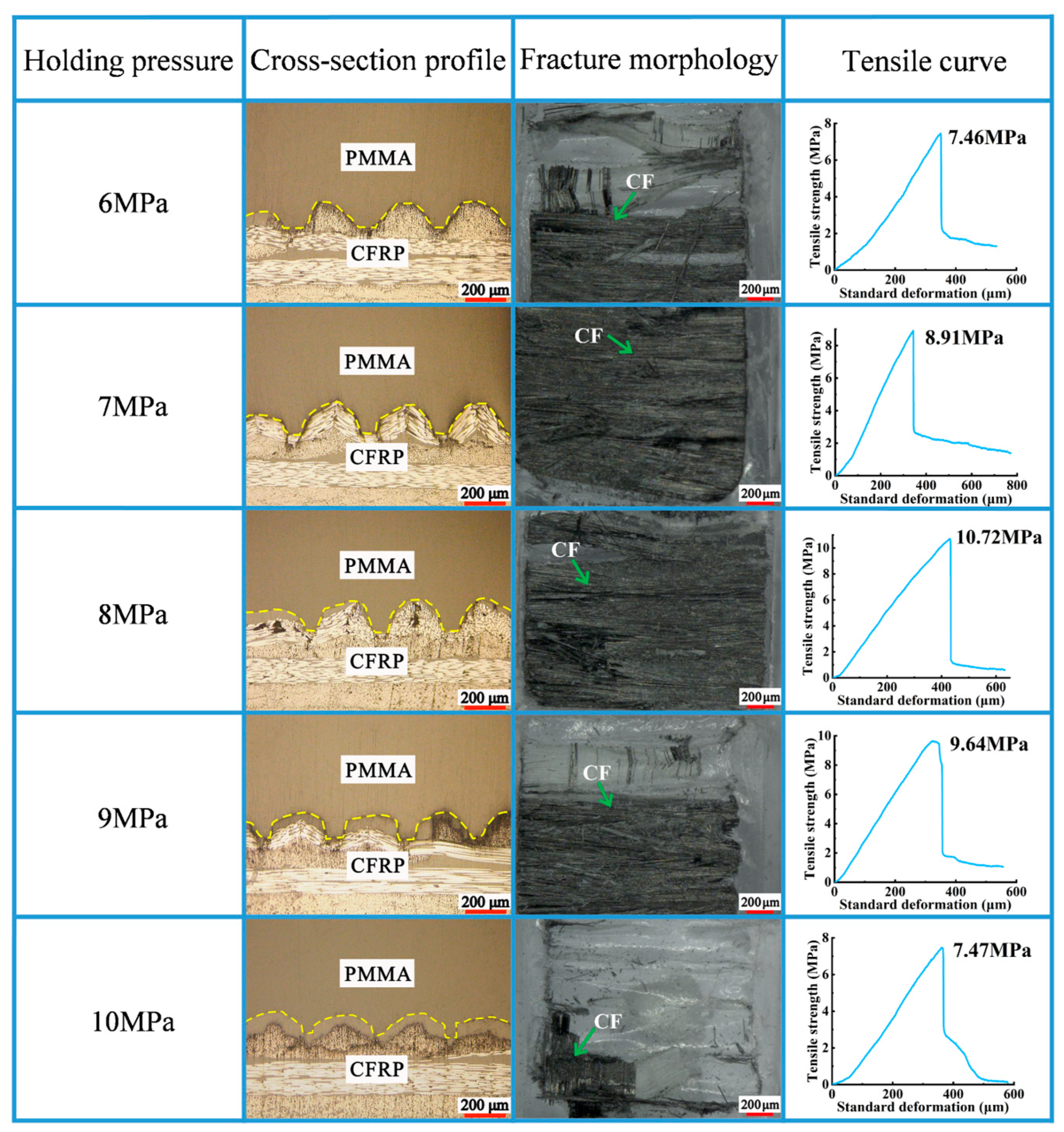 Polymers 16 03338 g009