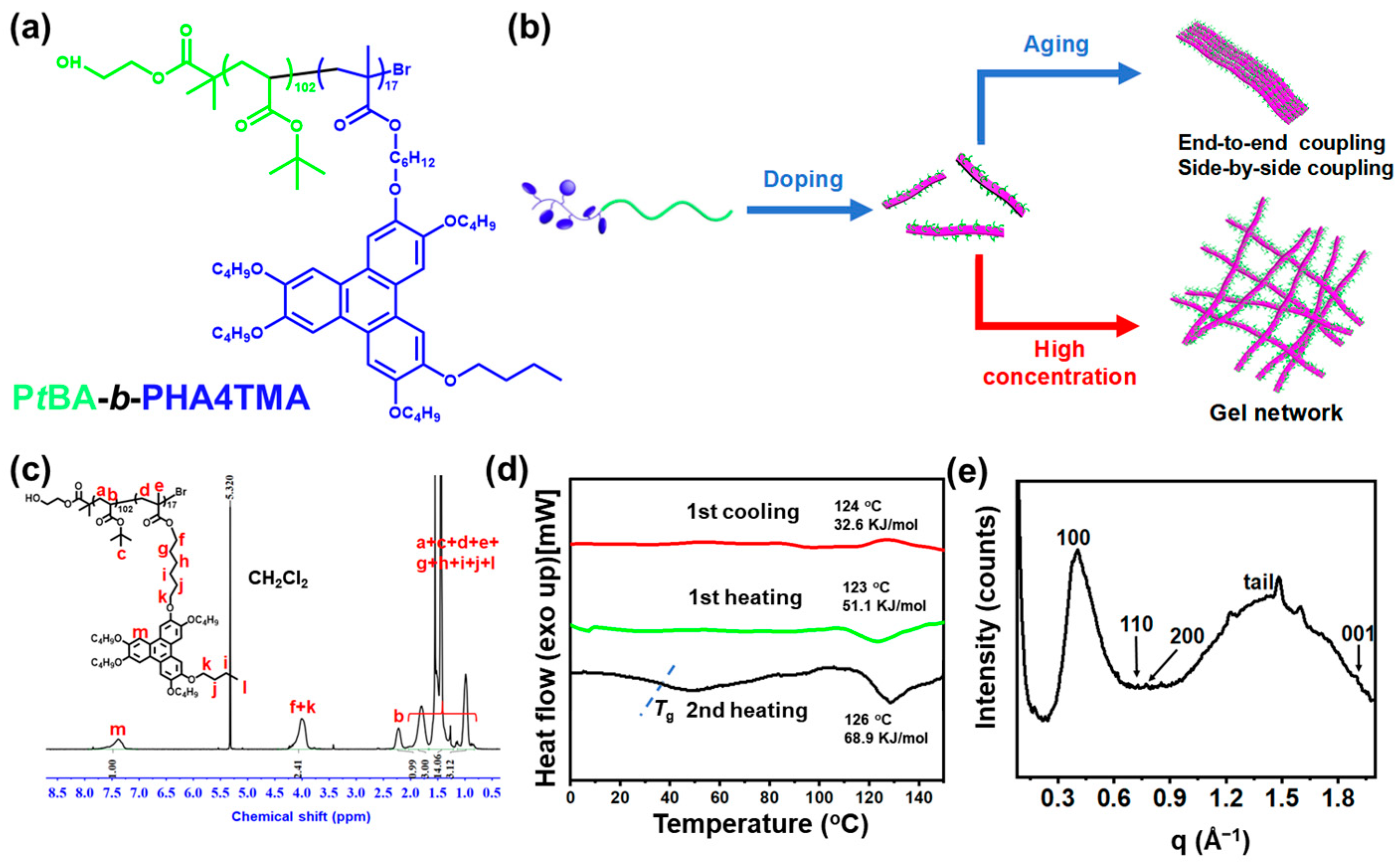 Polymers 16 03339 g001