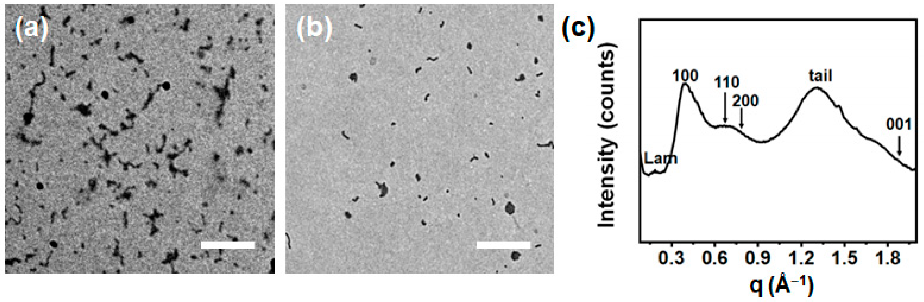 Polymers 16 03339 g002