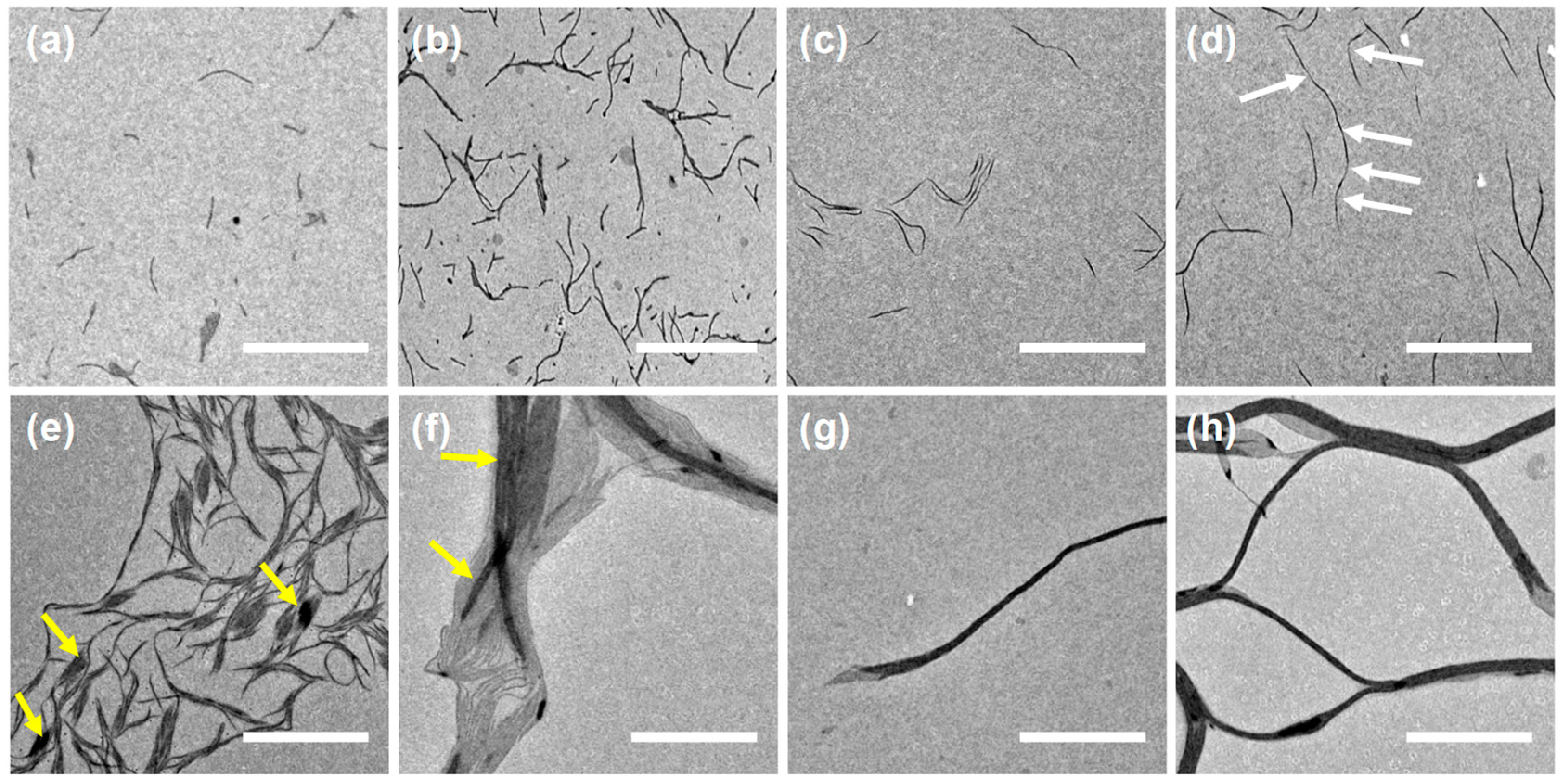 Polymers 16 03339 g003