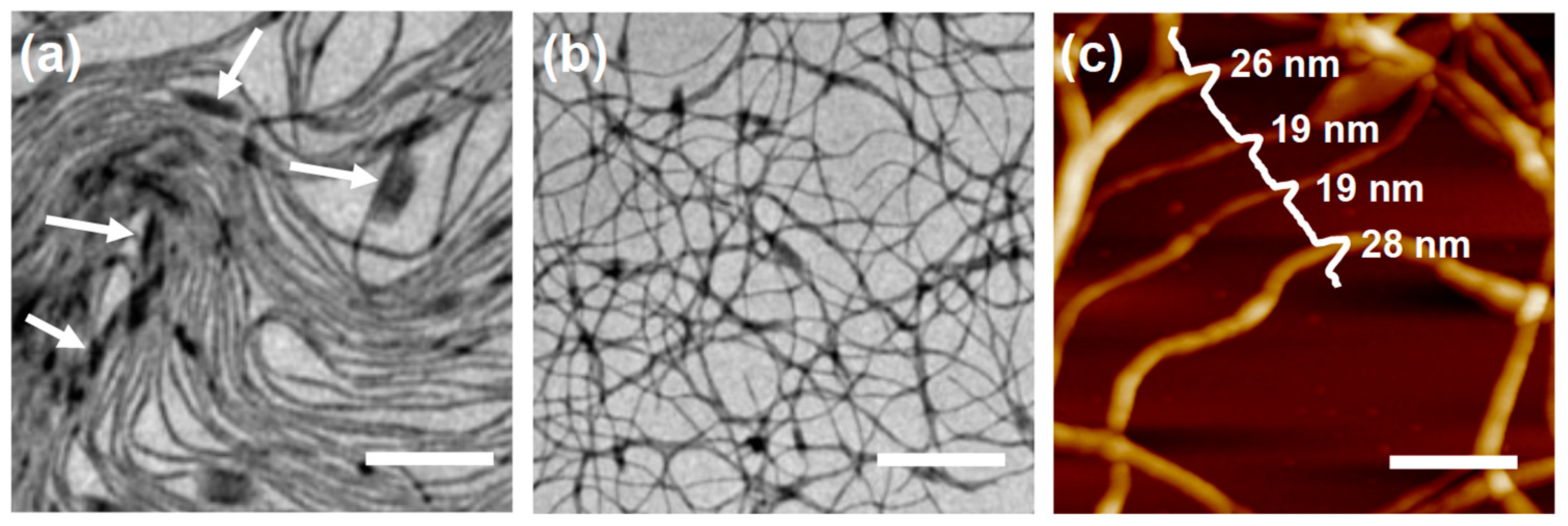 Polymers 16 03339 g005