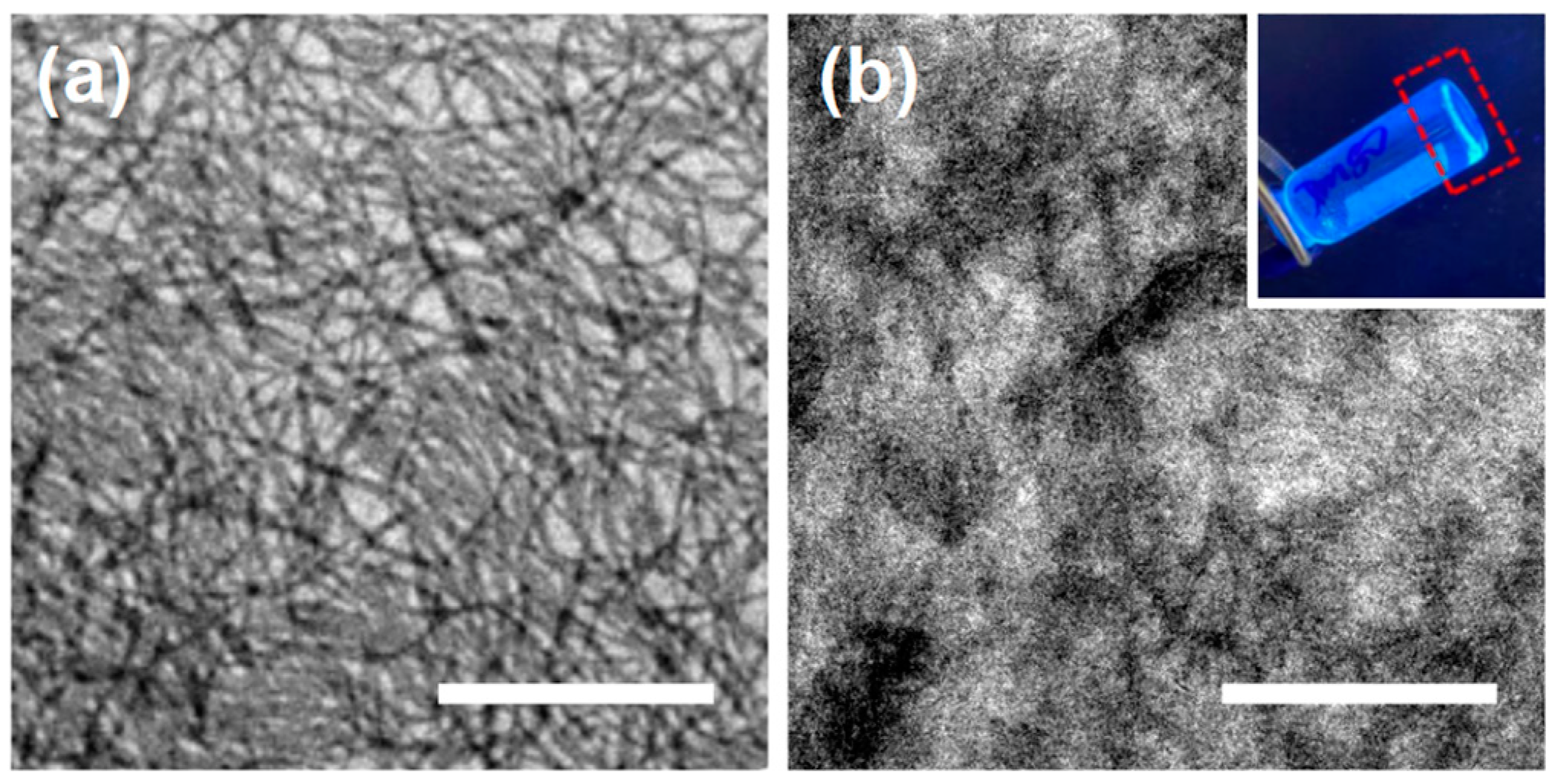 Polymers 16 03339 g006